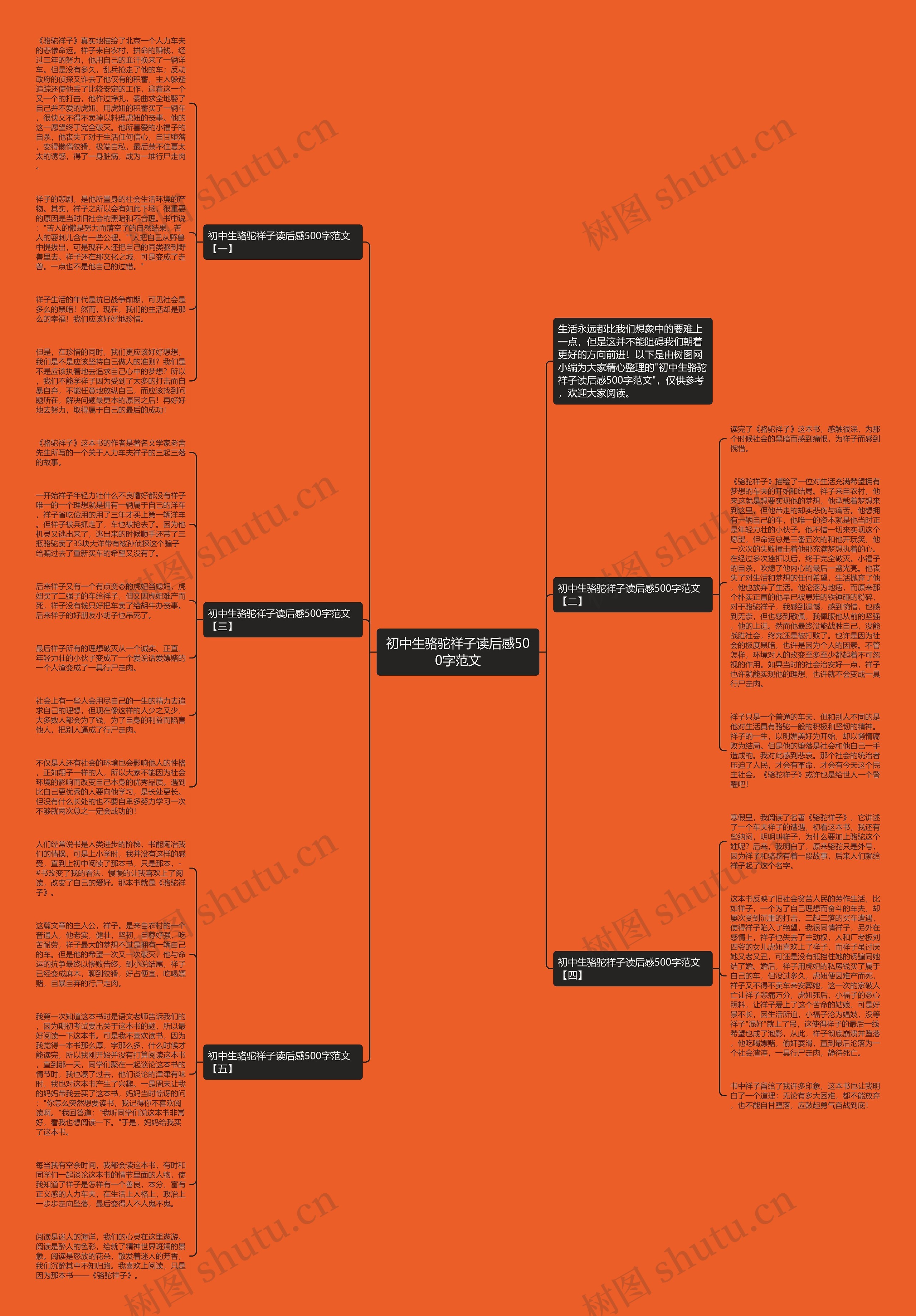 初中生骆驼祥子读后感500字范文思维导图