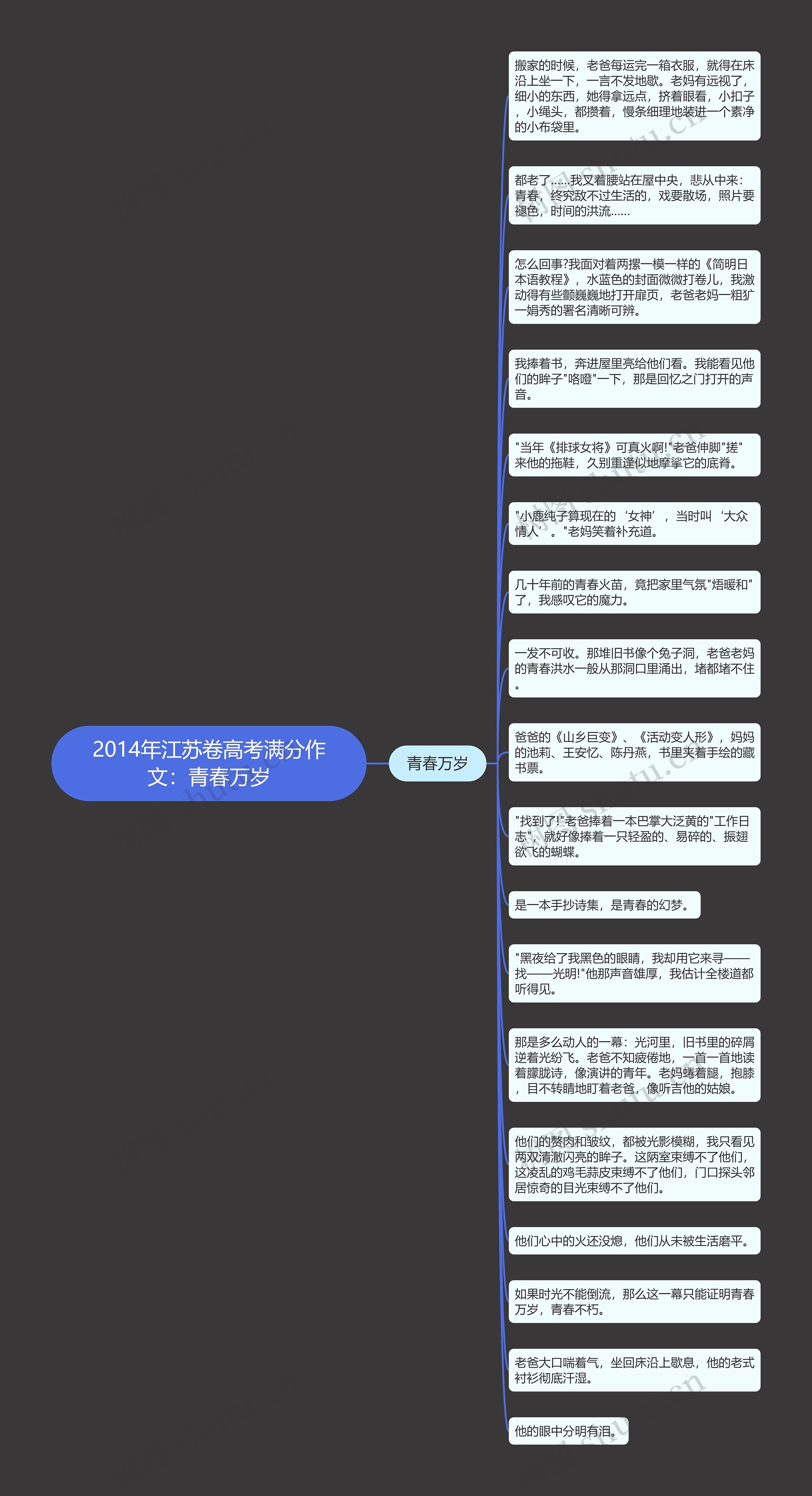 2014年江苏卷高考满分作文：青春万岁