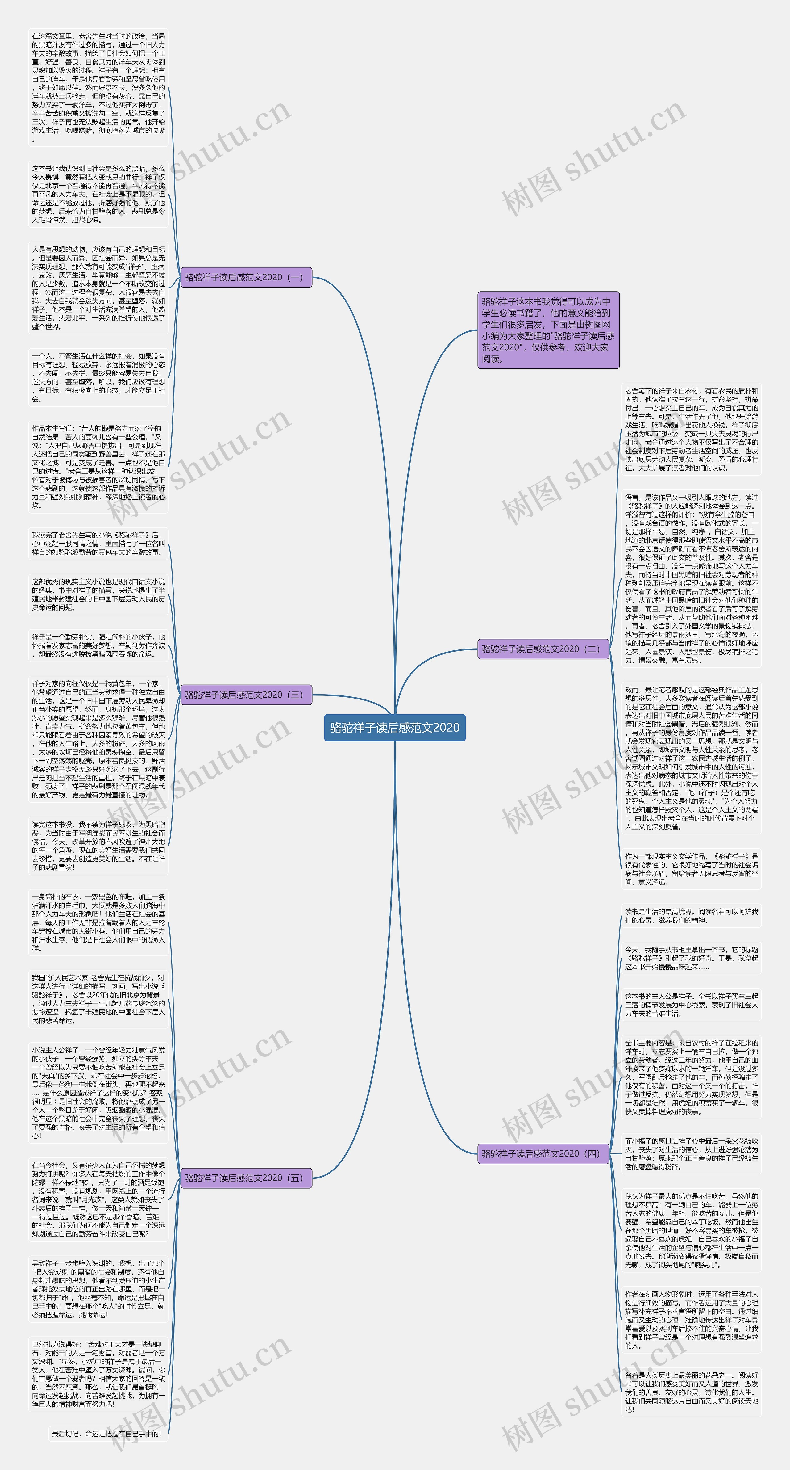 骆驼祥子读后感范文2020思维导图