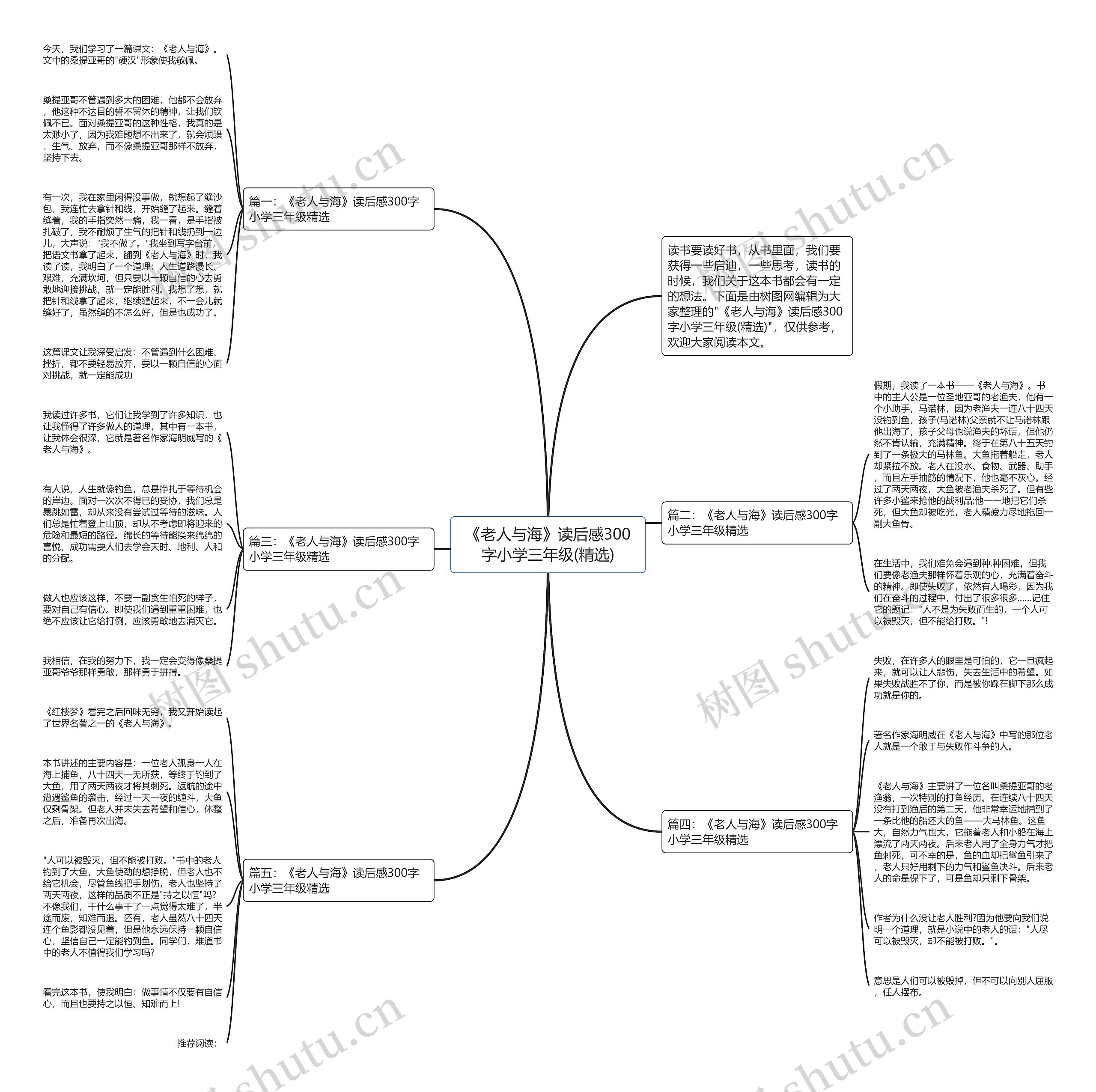 《老人与海》读后感300字小学三年级(精选)思维导图