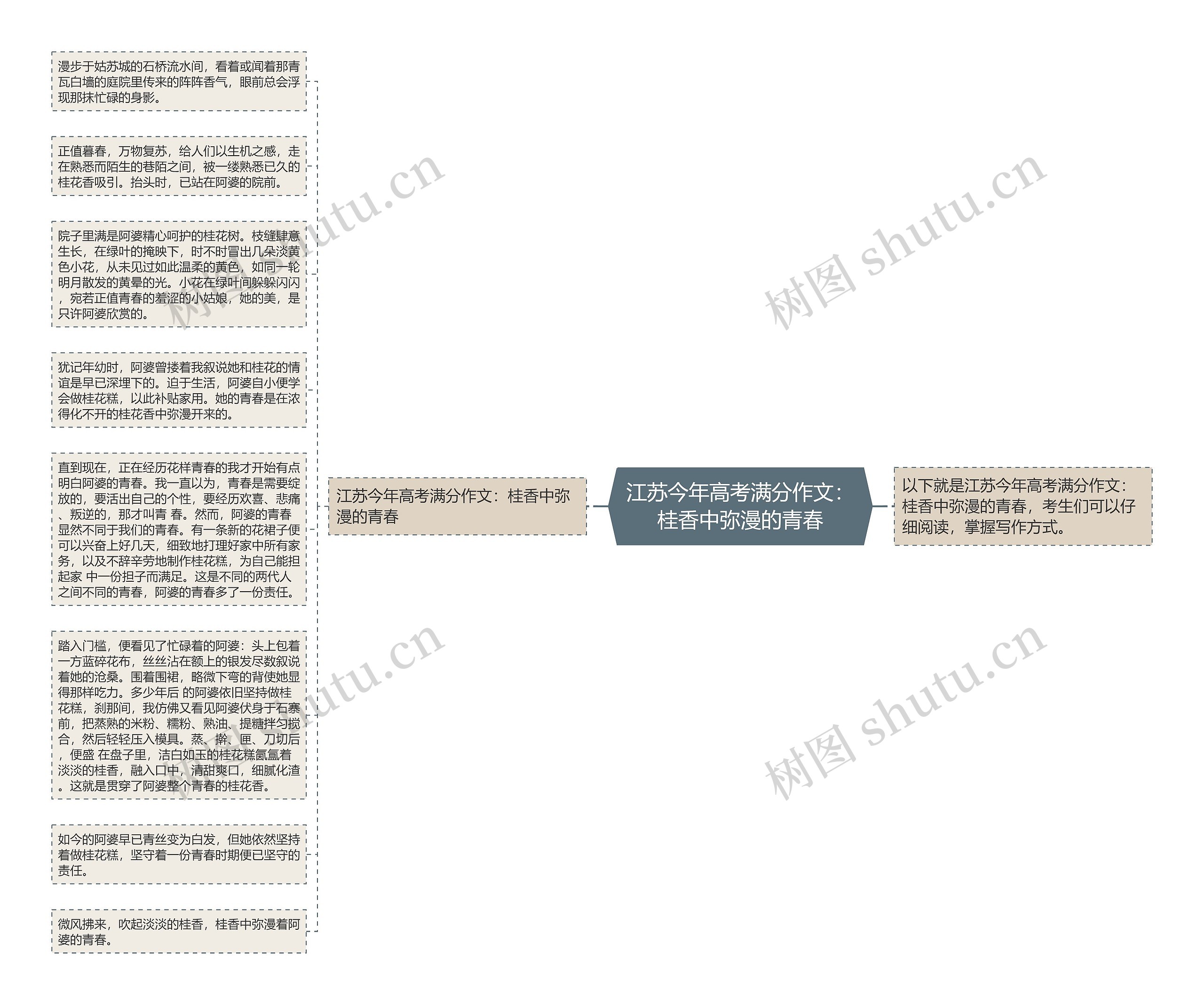 江苏今年高考满分作文：桂香中弥漫的青春思维导图