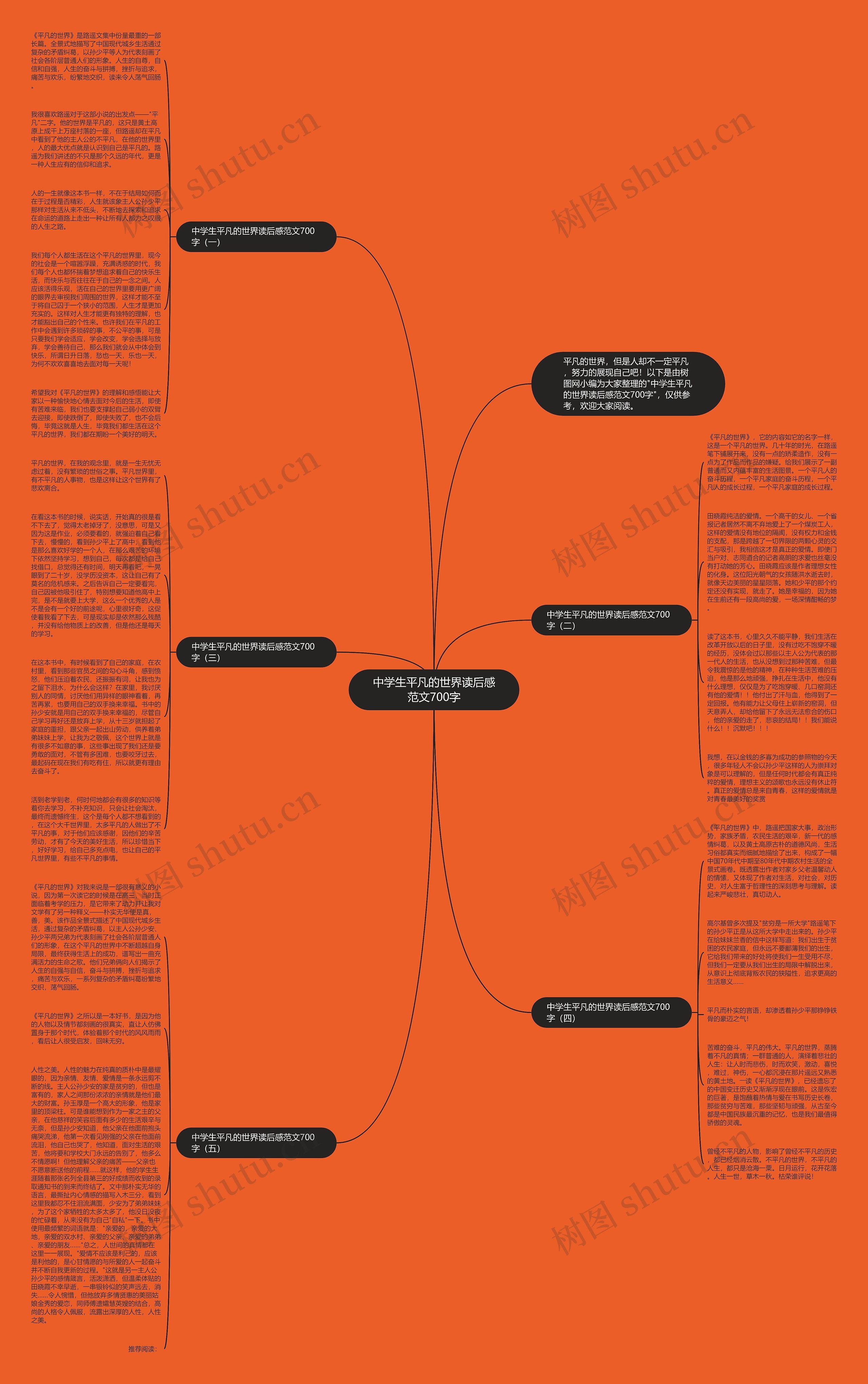 中学生平凡的世界读后感范文700字思维导图