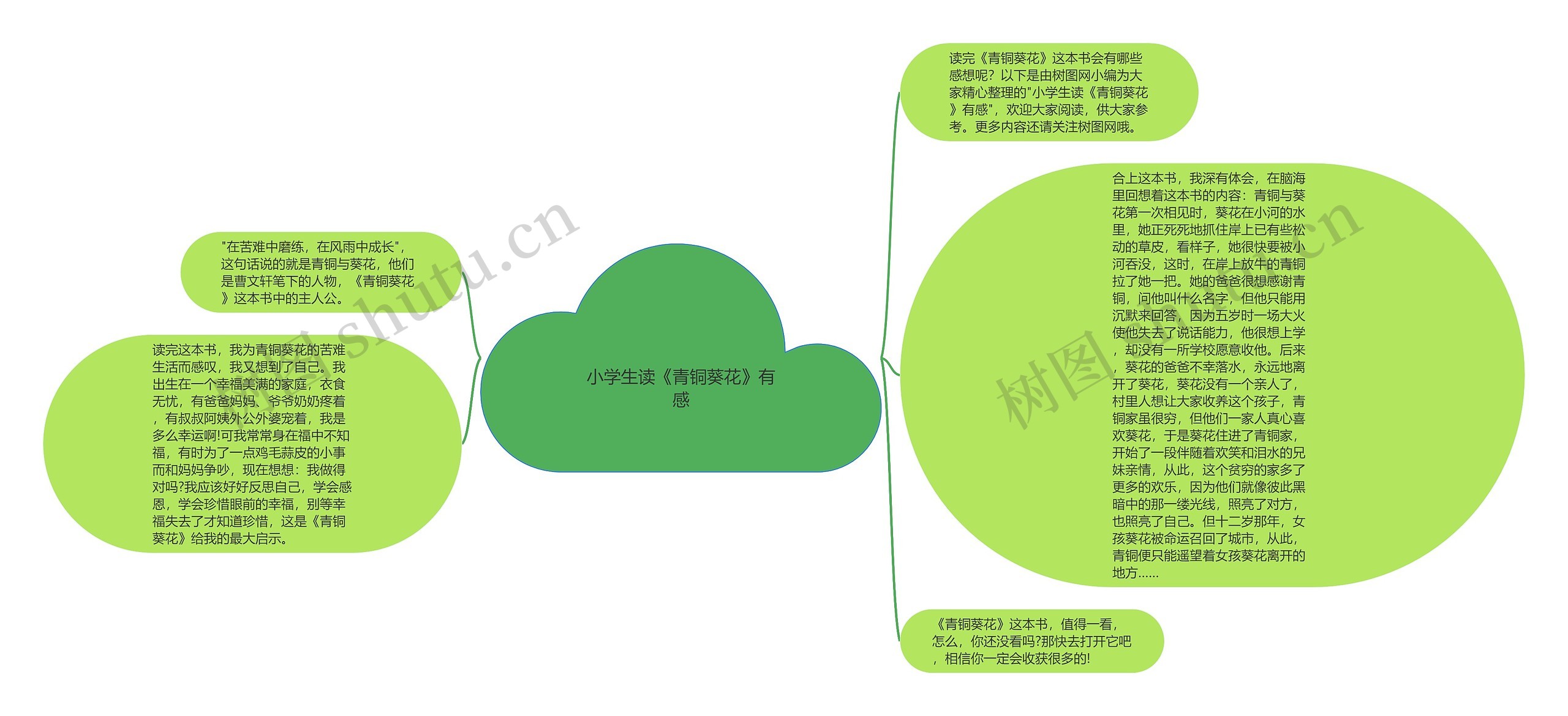 小学生读《青铜葵花》有感