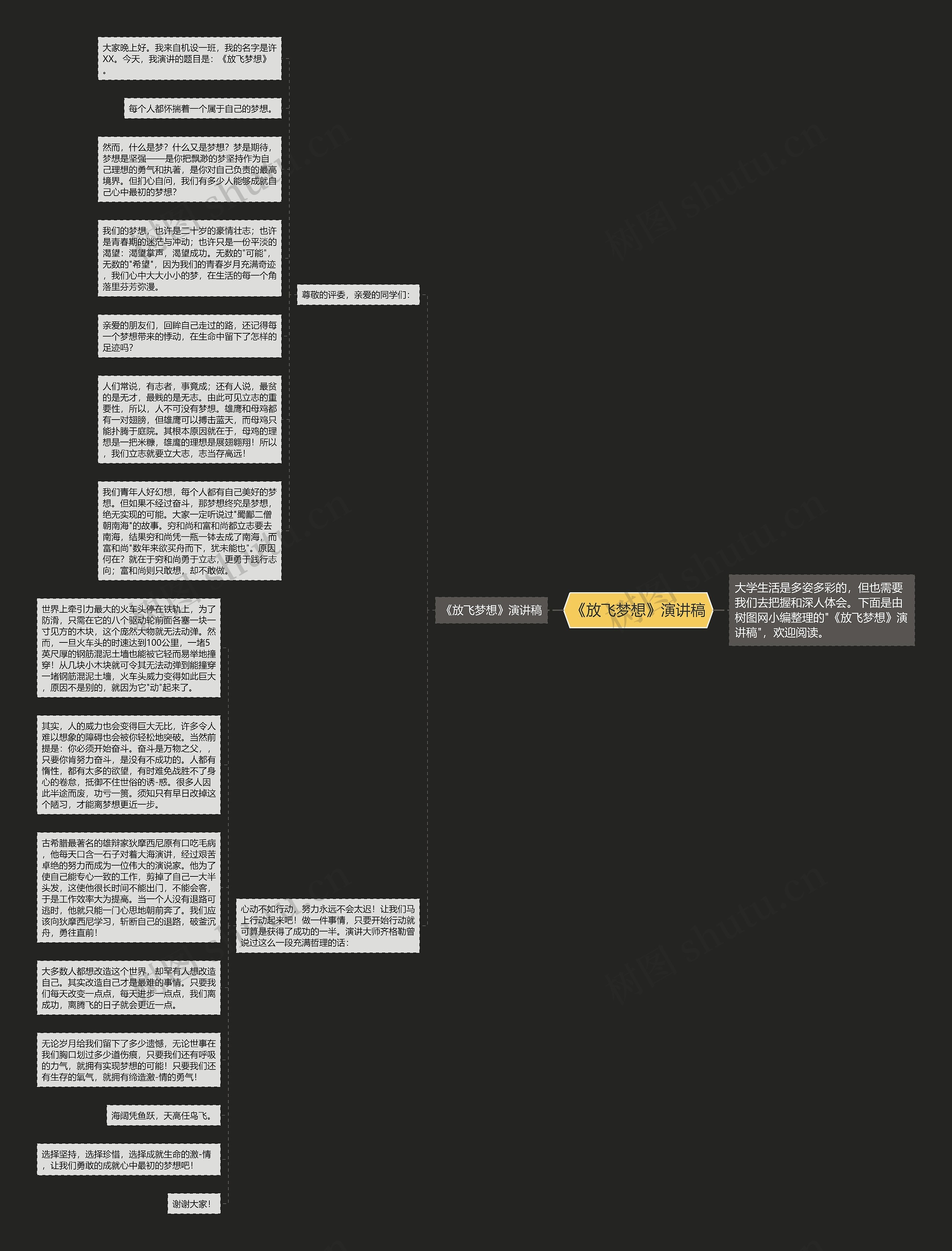 《放飞梦想》演讲稿思维导图
