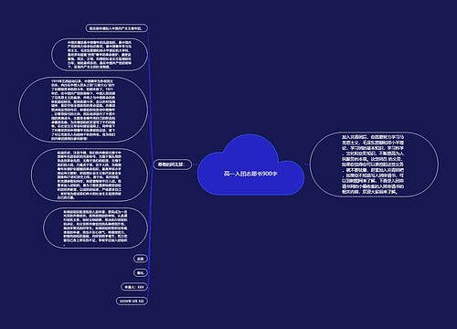 高一入团志愿书900字