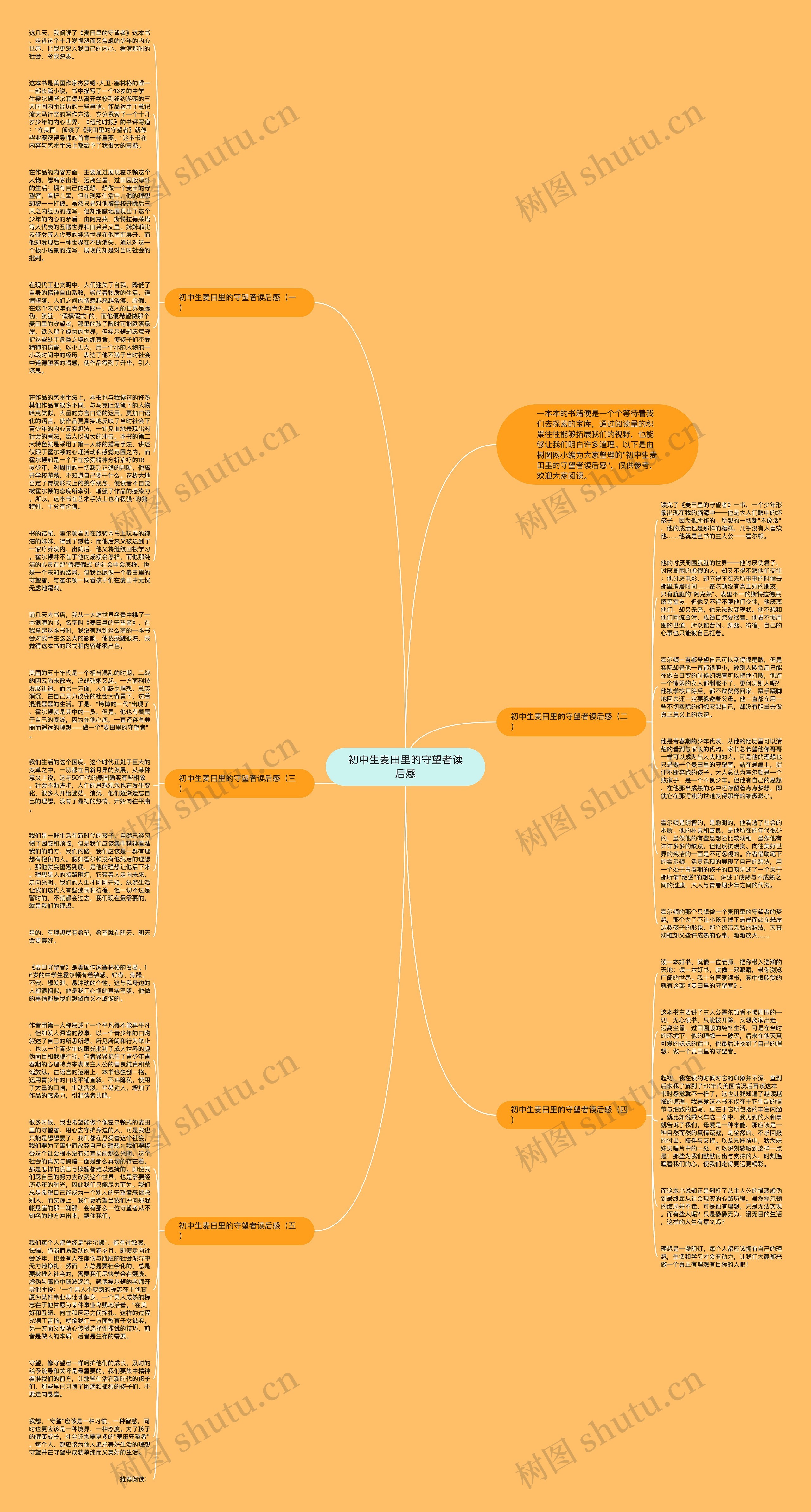 初中生麦田里的守望者读后感思维导图