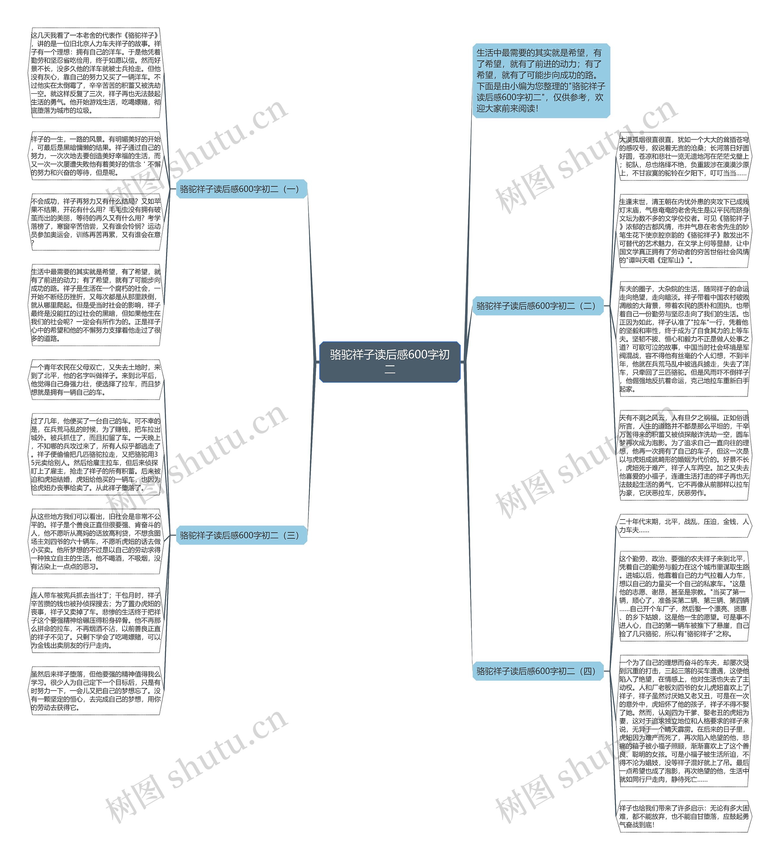 骆驼祥子读后感600字初二思维导图