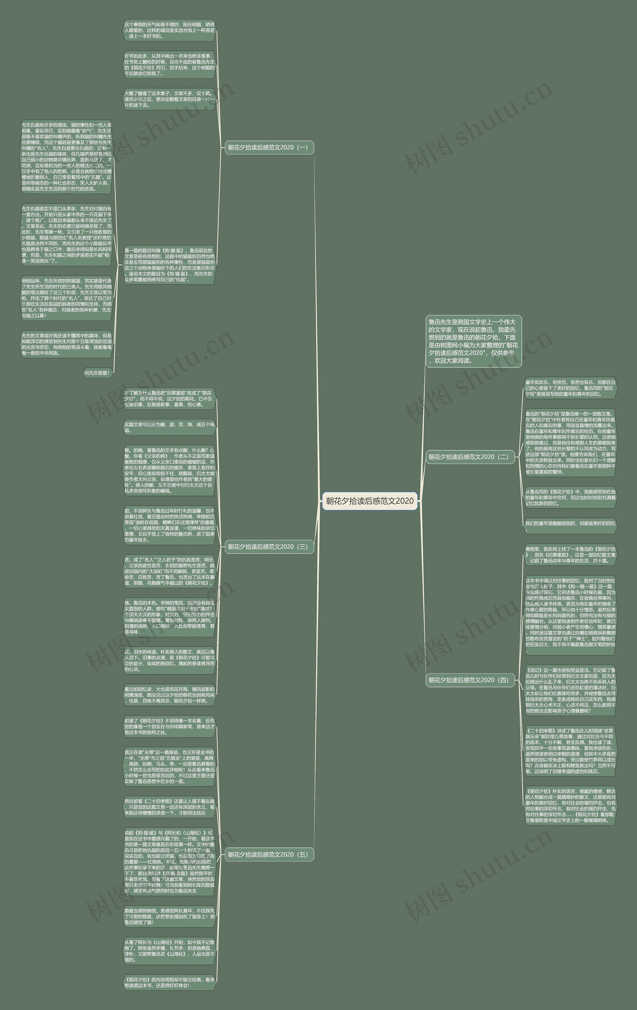 朝花夕拾读后感范文2020思维导图