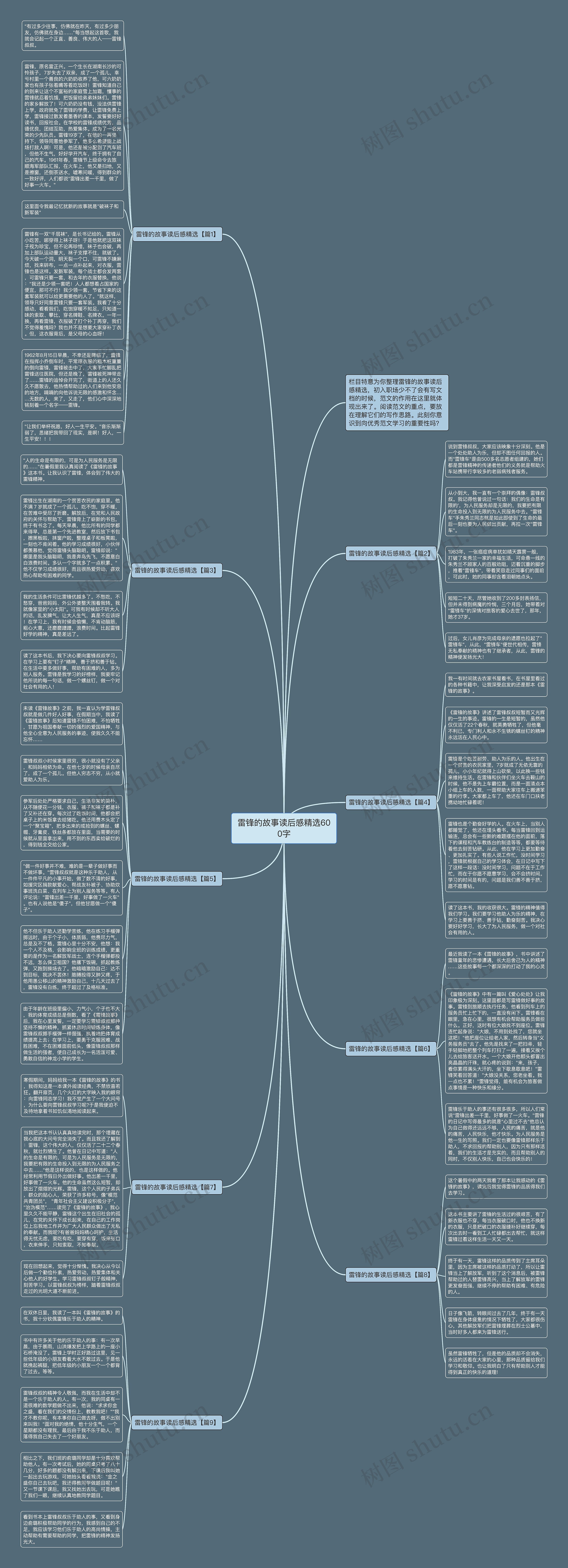 雷锋的故事读后感精选600字思维导图