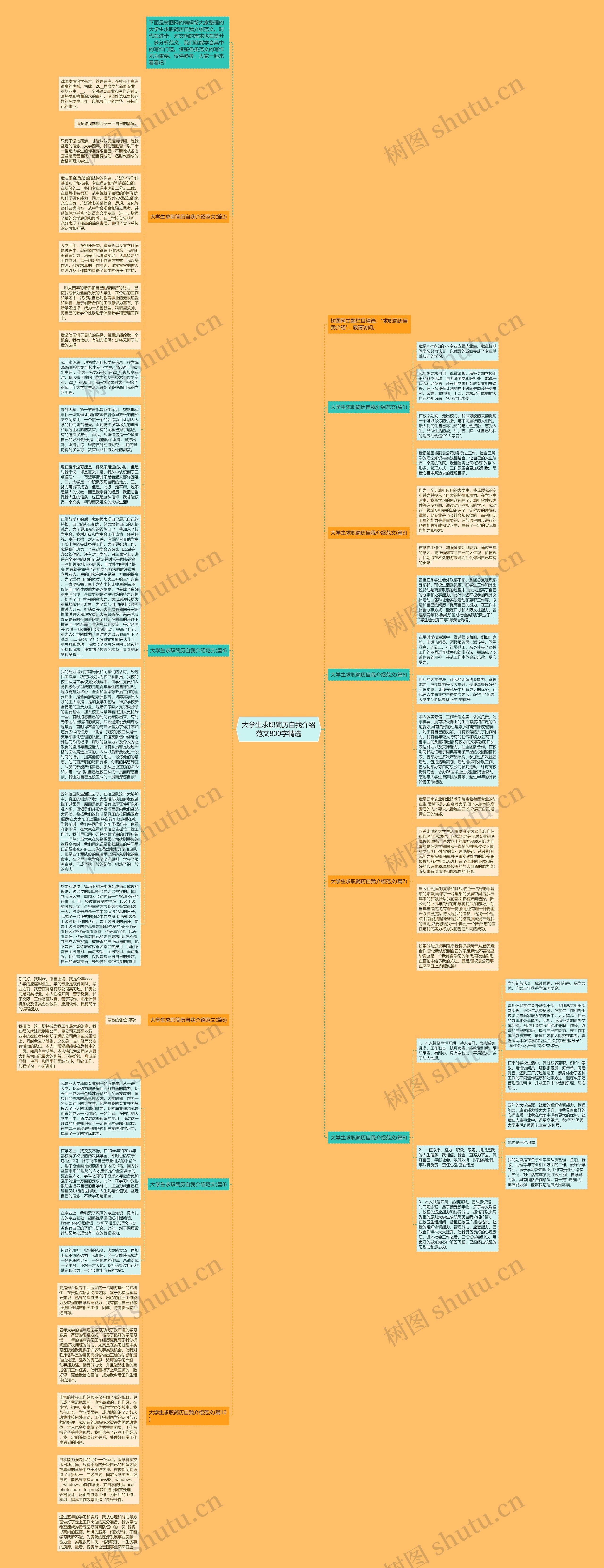 大学生求职简历自我介绍范文800字精选思维导图