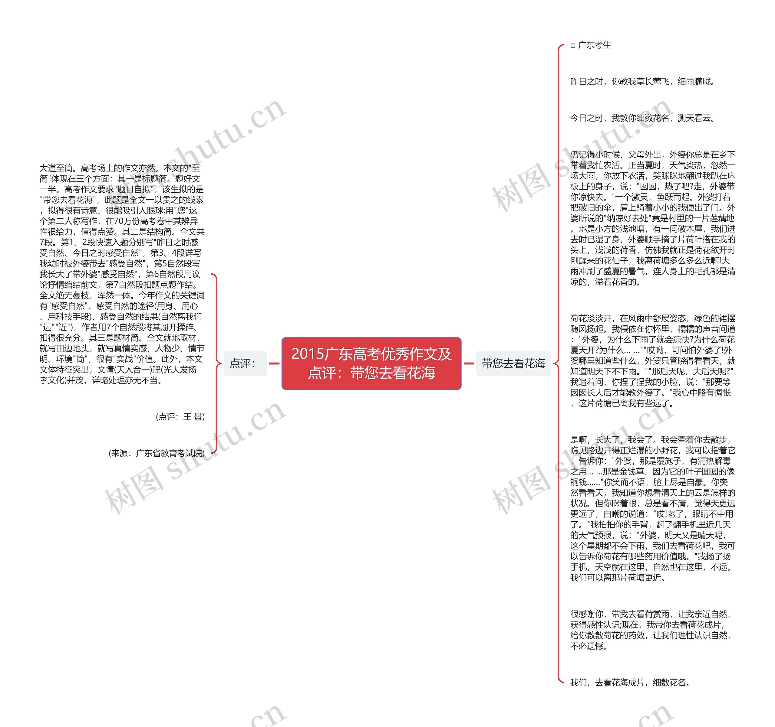 2015广东高考优秀作文及点评：带您去看花海思维导图