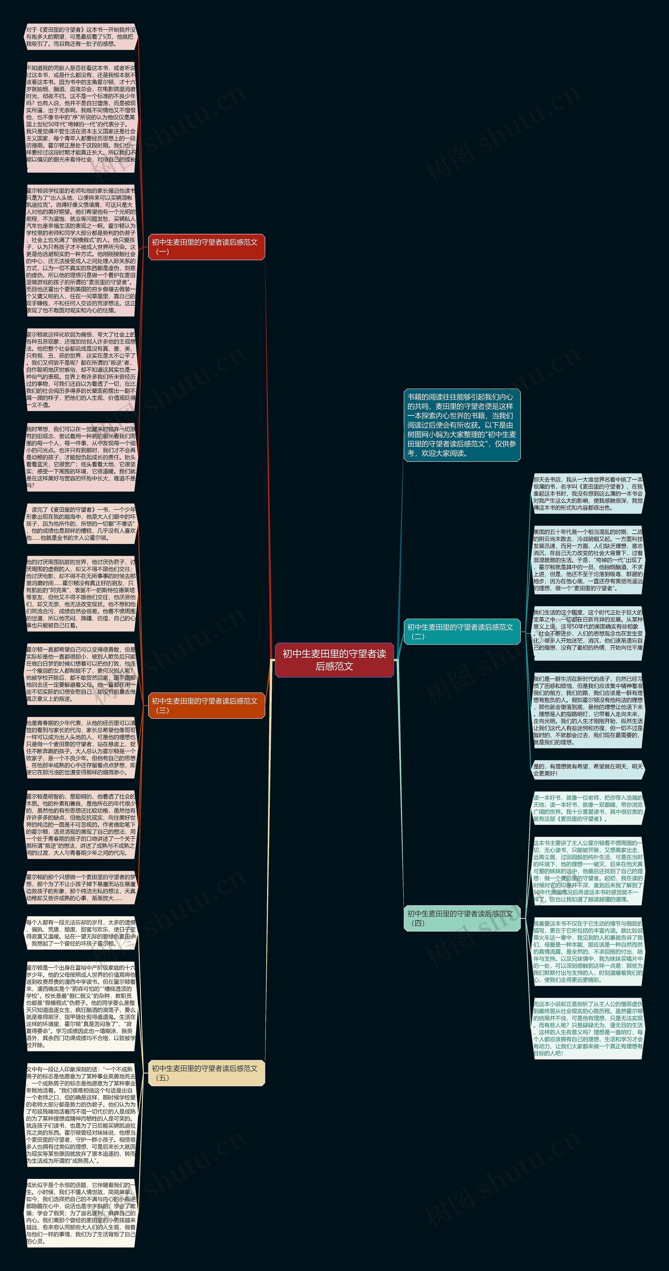 初中生麦田里的守望者读后感范文思维导图