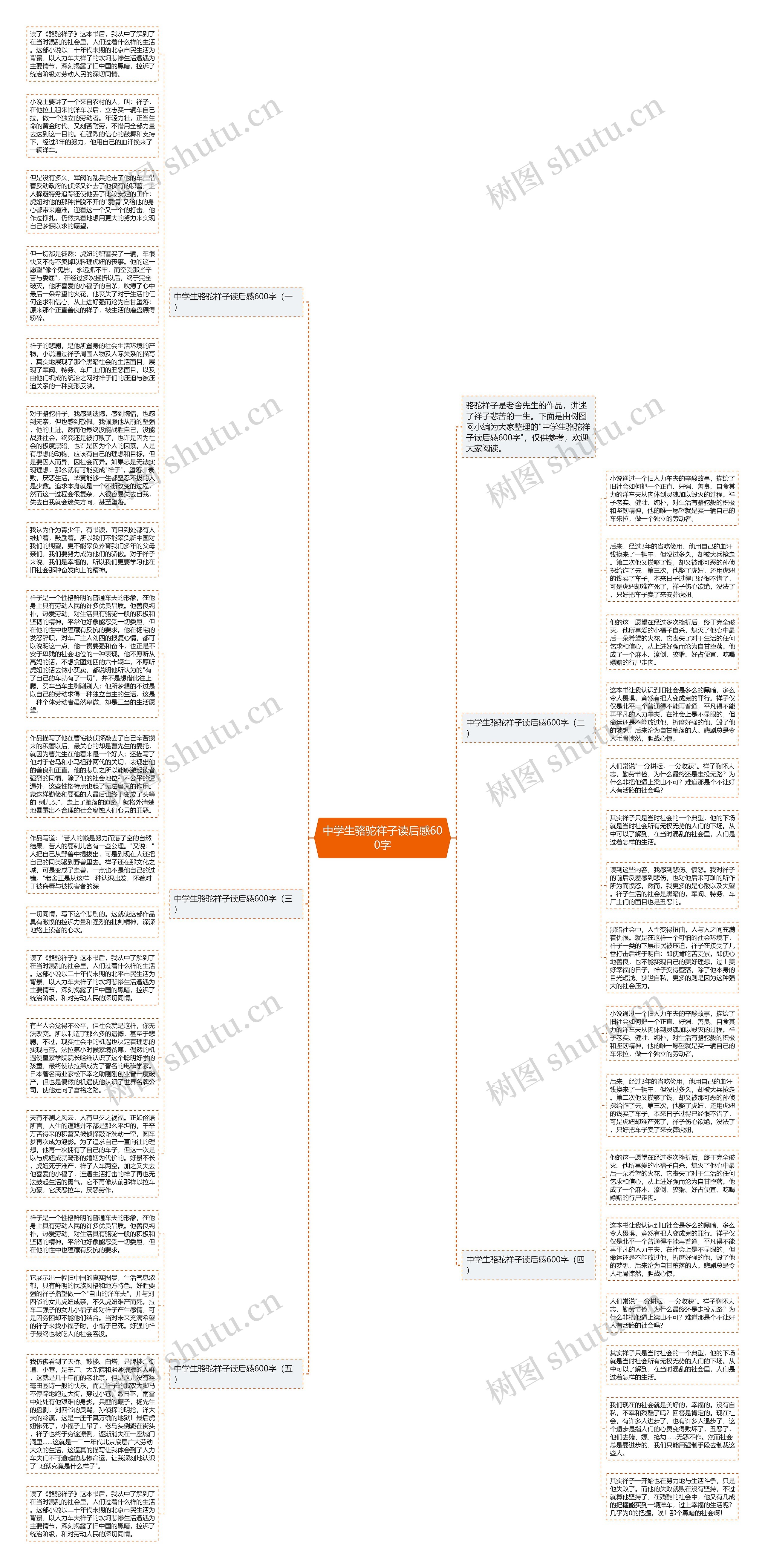 中学生骆驼祥子读后感600字思维导图