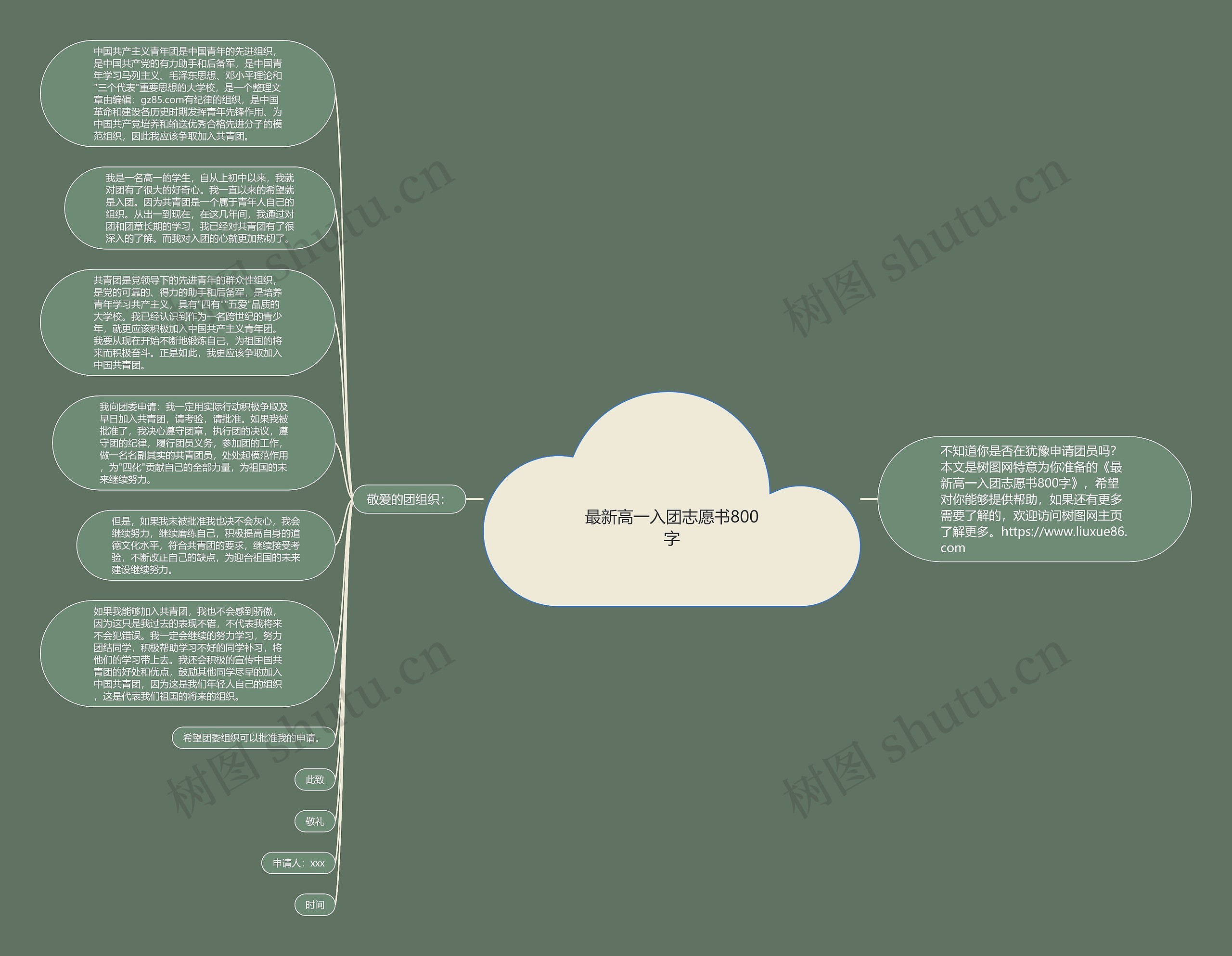 最新高一入团志愿书800字思维导图