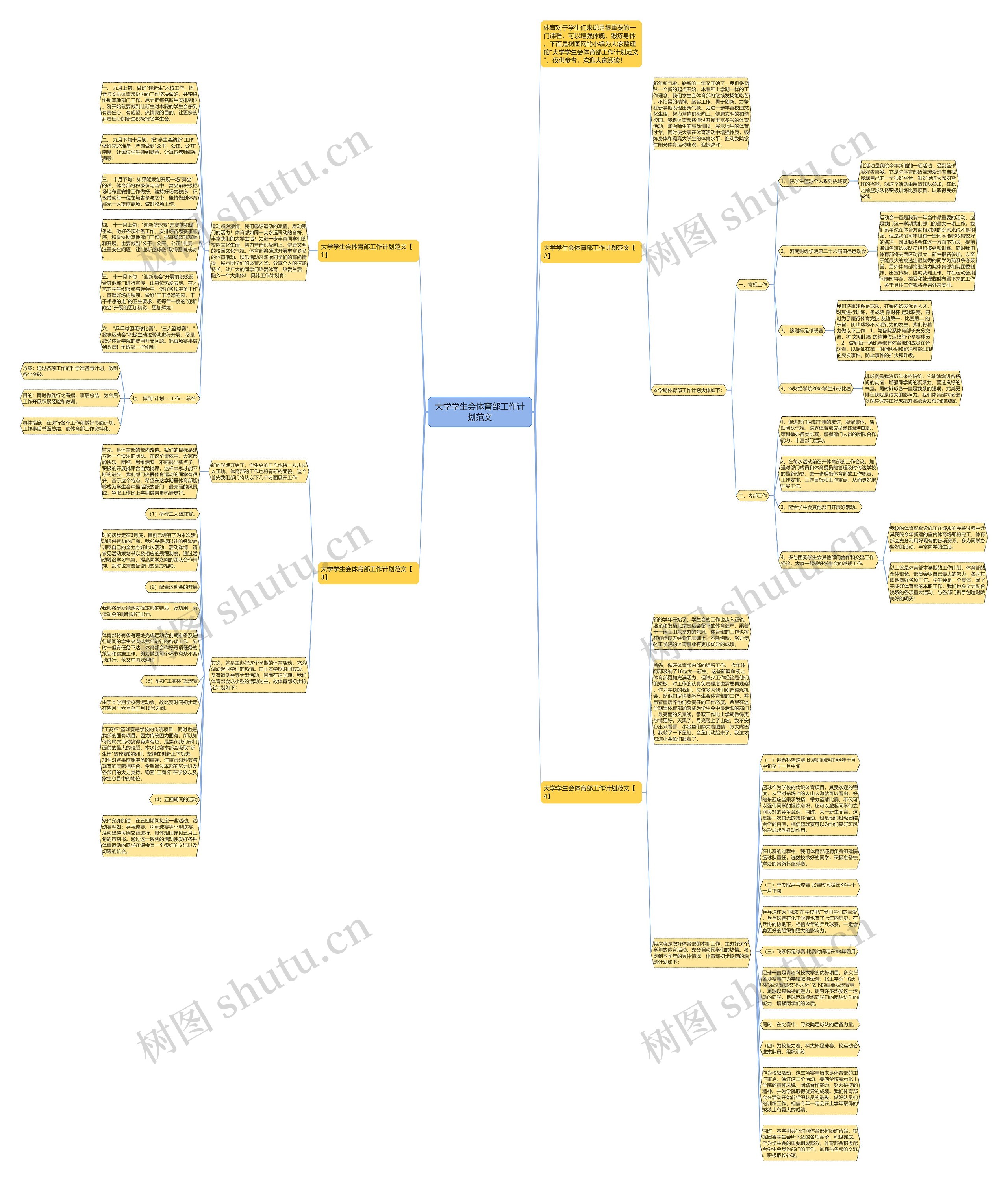大学学生会体育部工作计划范文思维导图