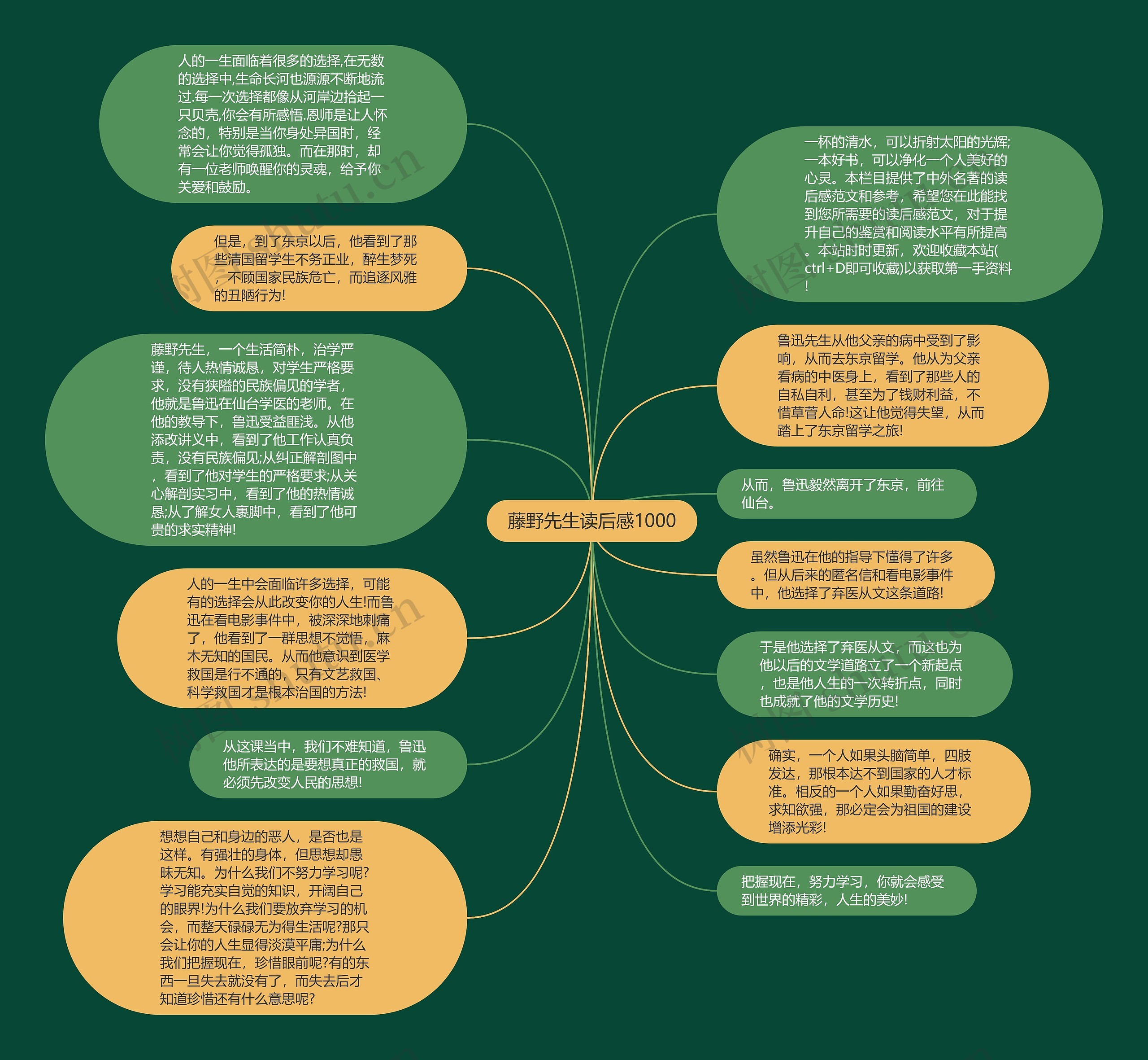 藤野先生读后感1000思维导图