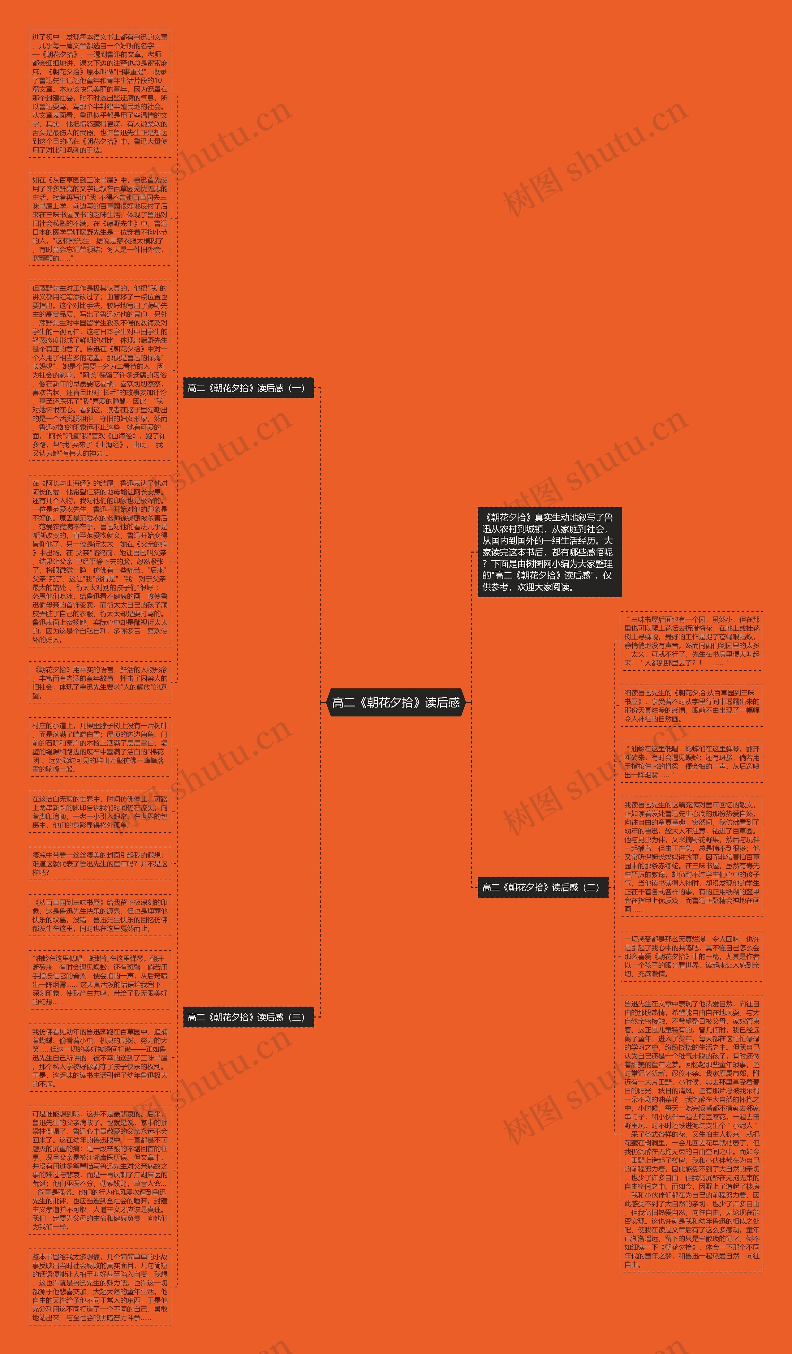 高二《朝花夕拾》读后感思维导图