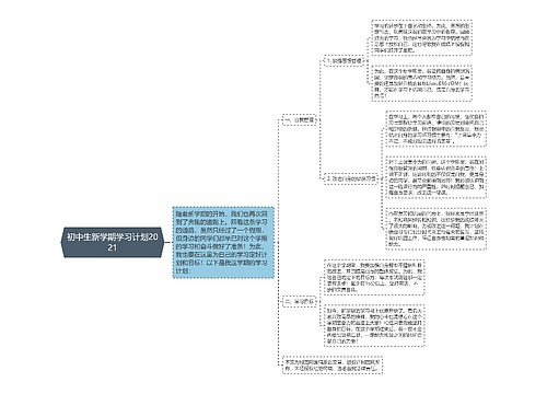 初中生新学期学习计划2021