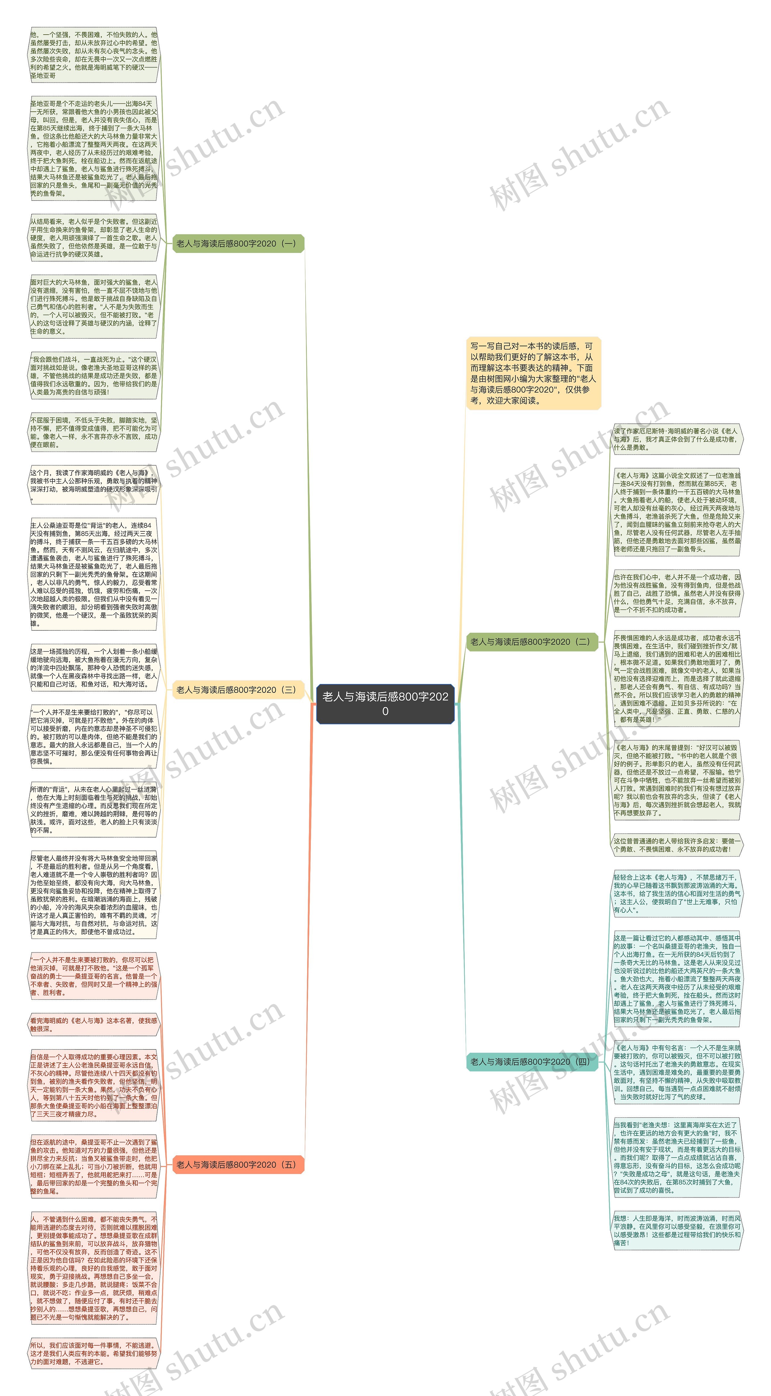 老人与海读后感800字2020思维导图