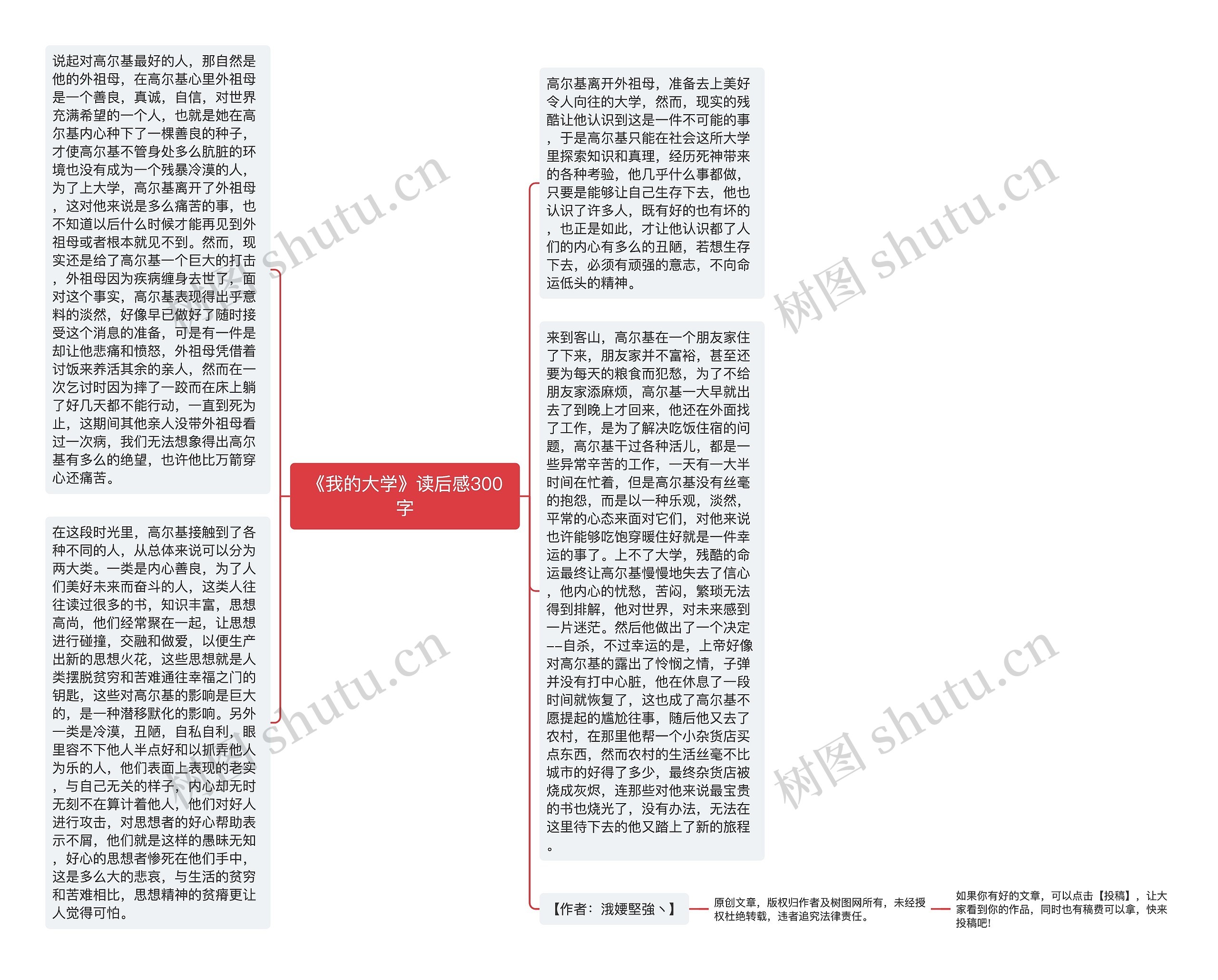 《我的大学》读后感300字