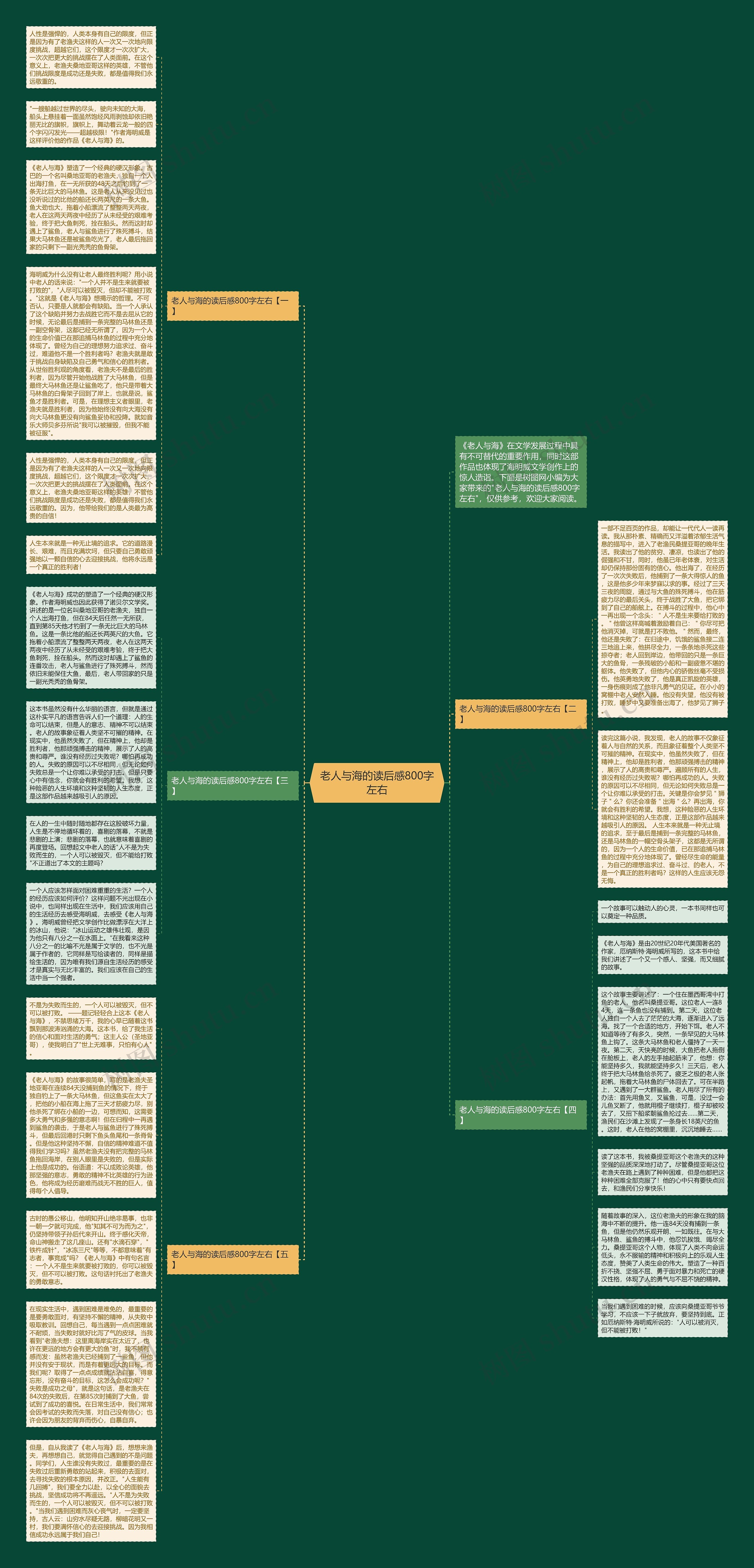 老人与海的读后感800字左右思维导图