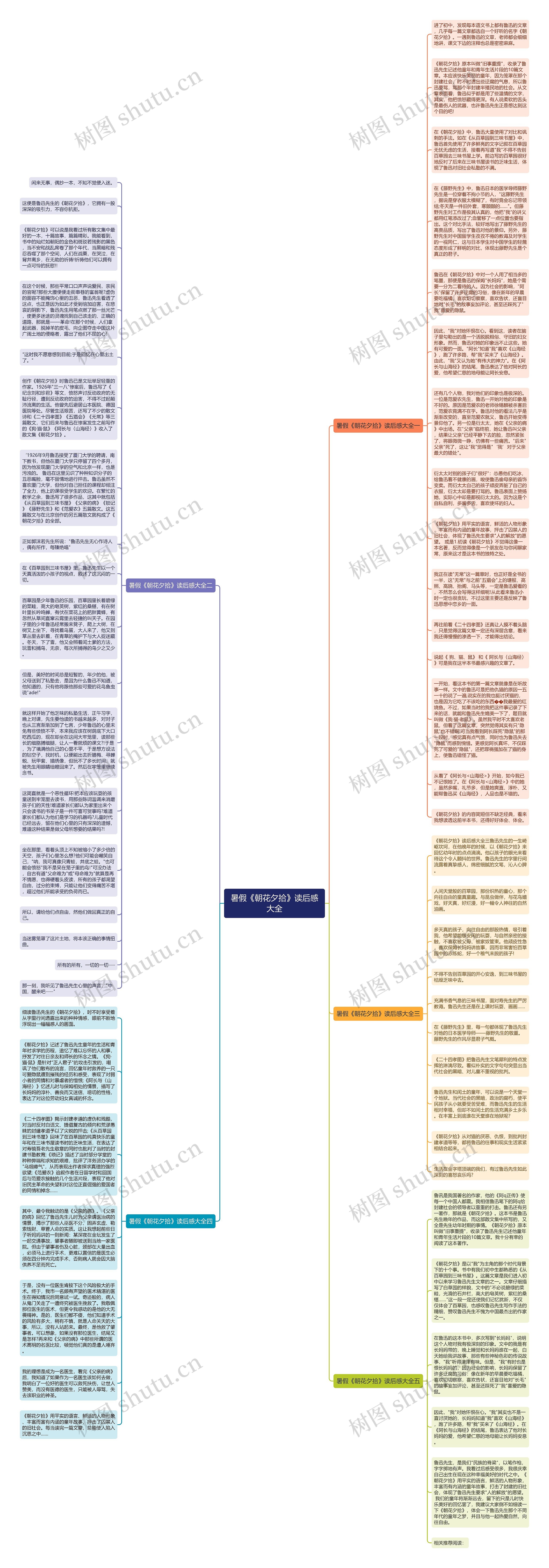 暑假《朝花夕拾》读后感大全思维导图
