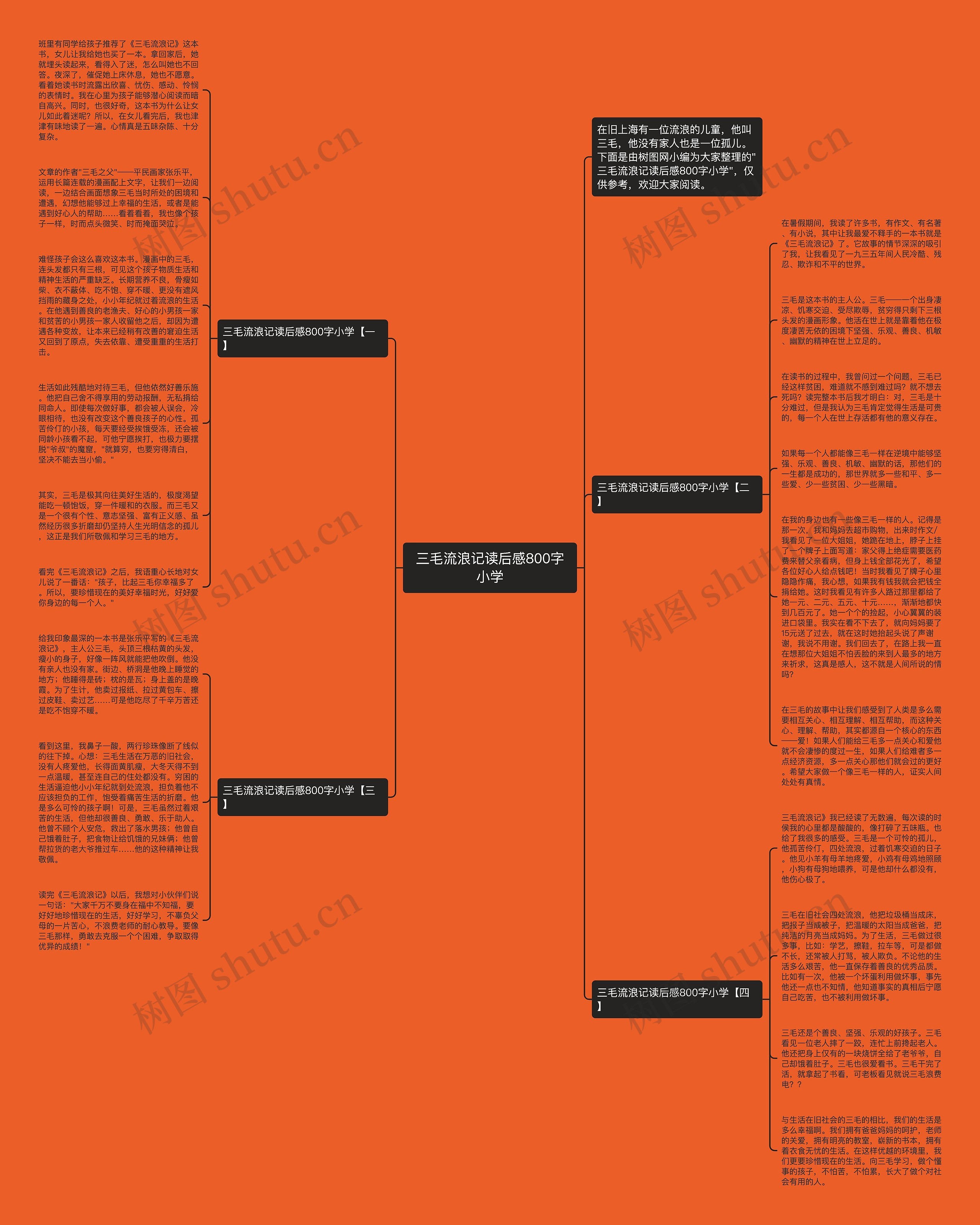 三毛流浪记读后感800字小学思维导图