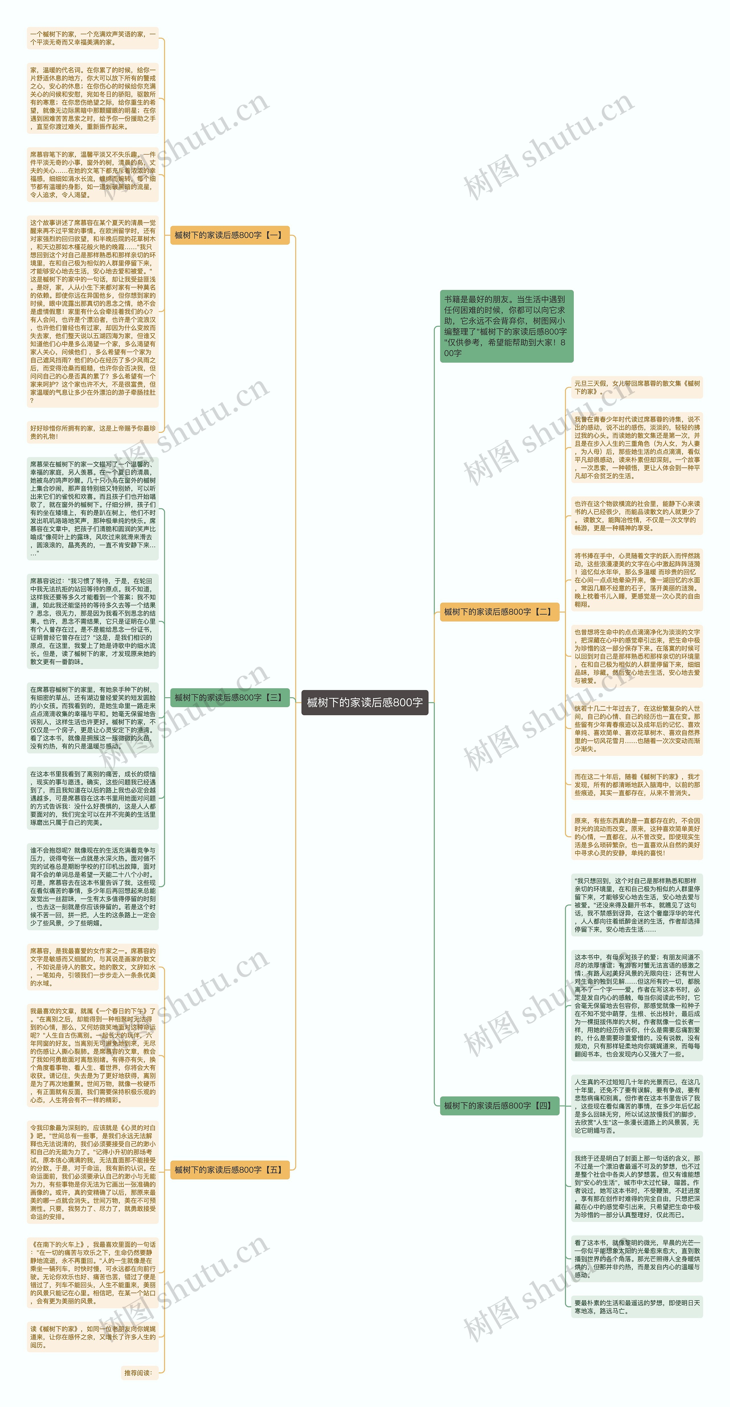 槭树下的家读后感800字思维导图