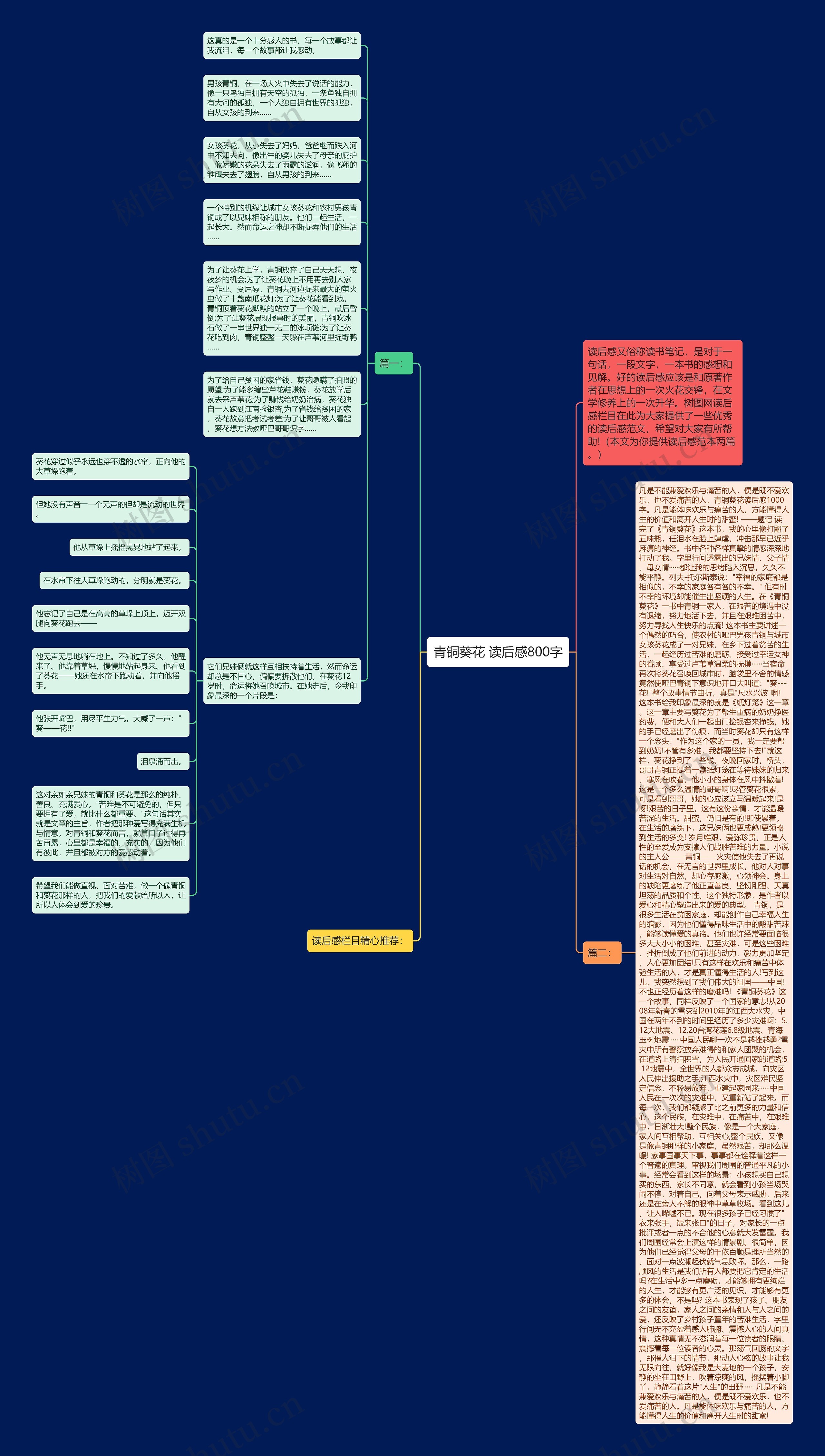 青铜葵花 读后感800字思维导图