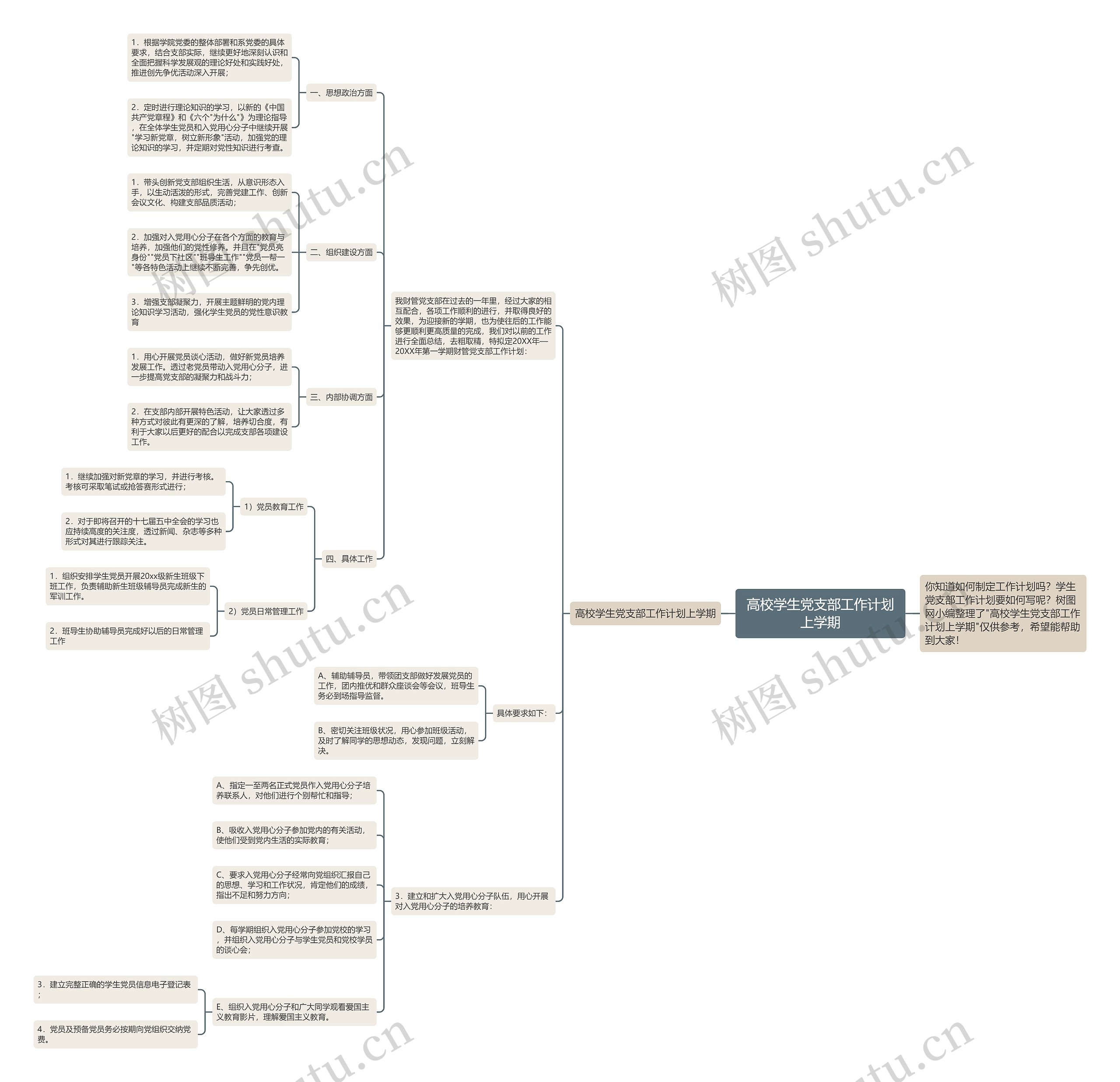 高校学生党支部工作计划上学期思维导图