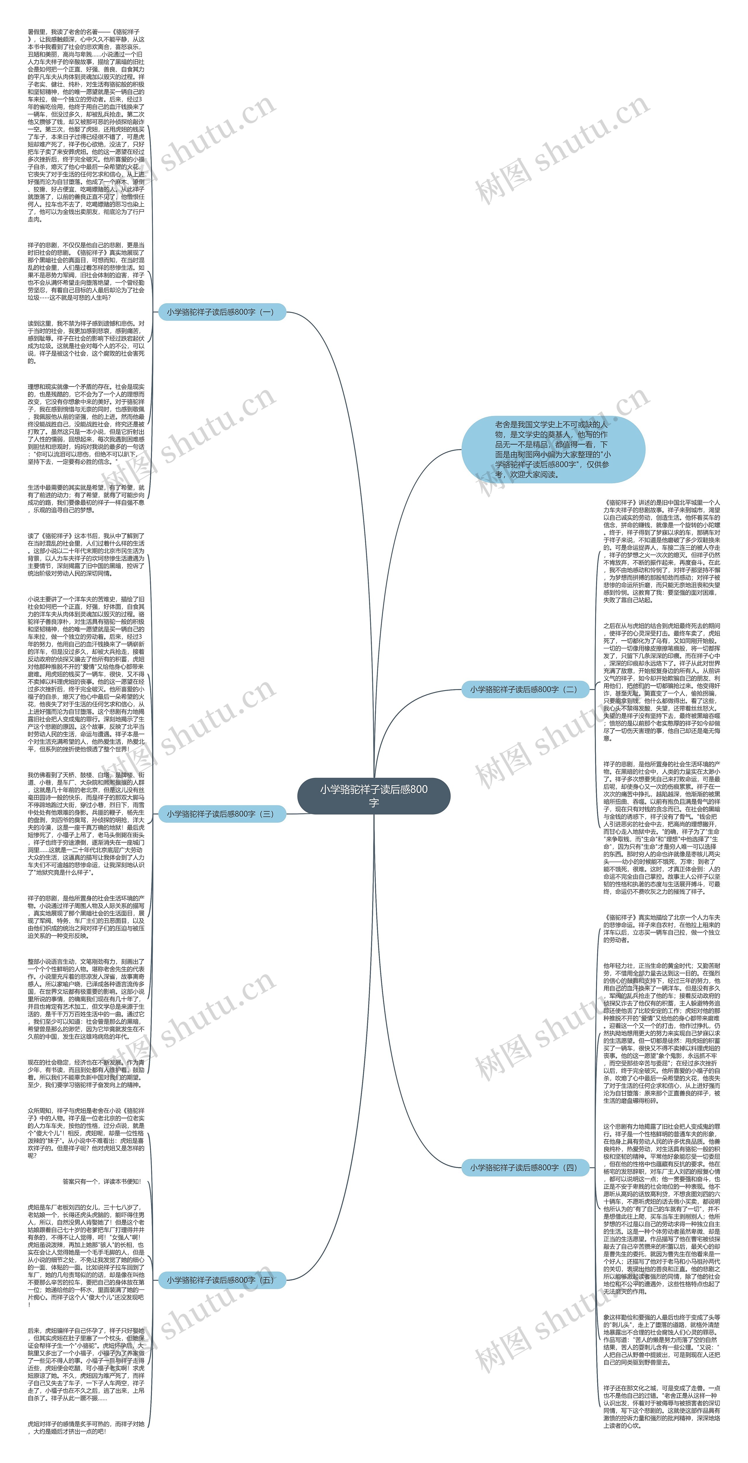 小学骆驼祥子读后感800字思维导图