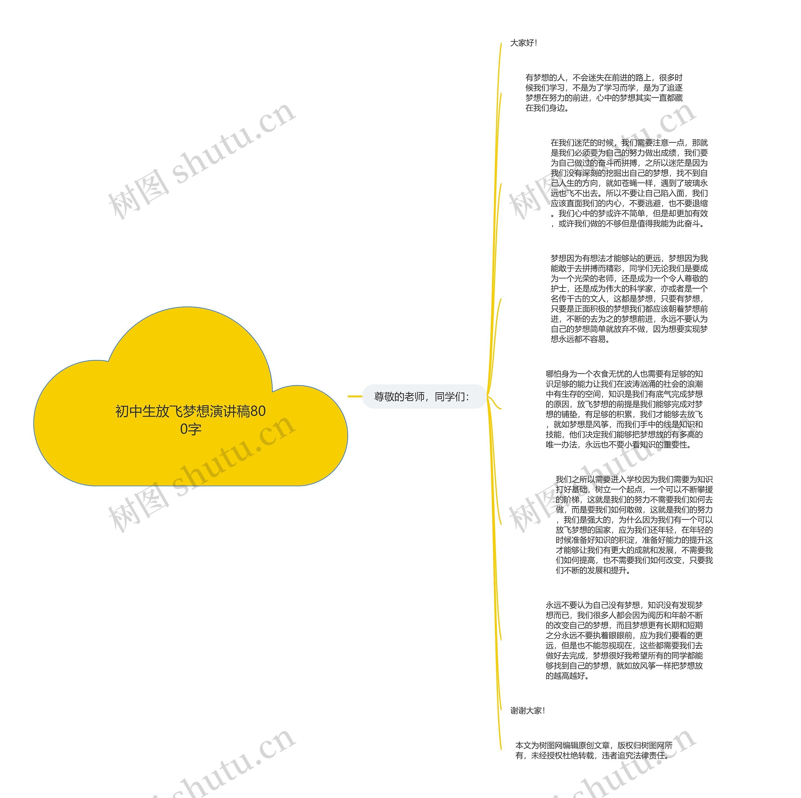 初中生放飞梦想演讲稿800字思维导图