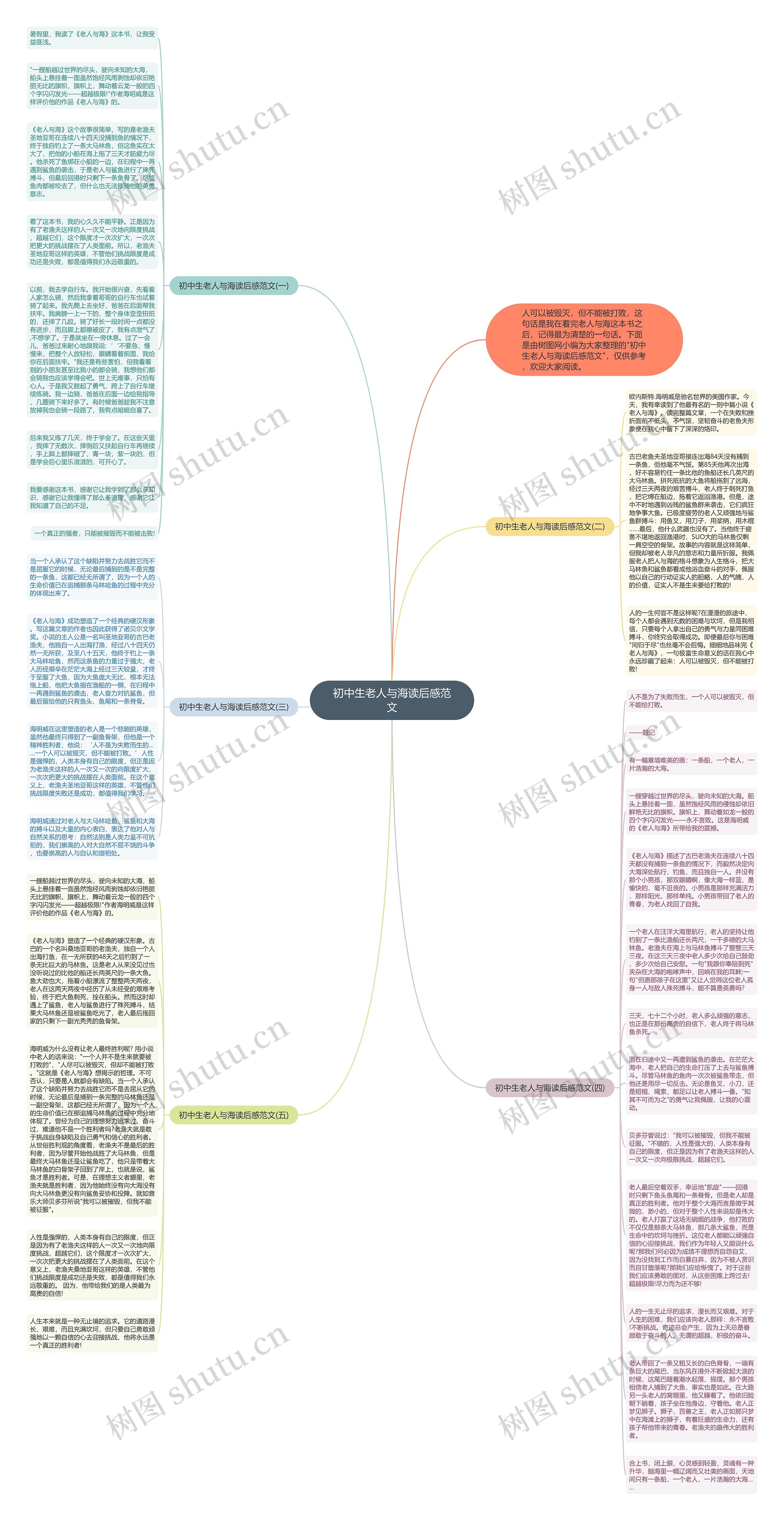 初中生老人与海读后感范文思维导图