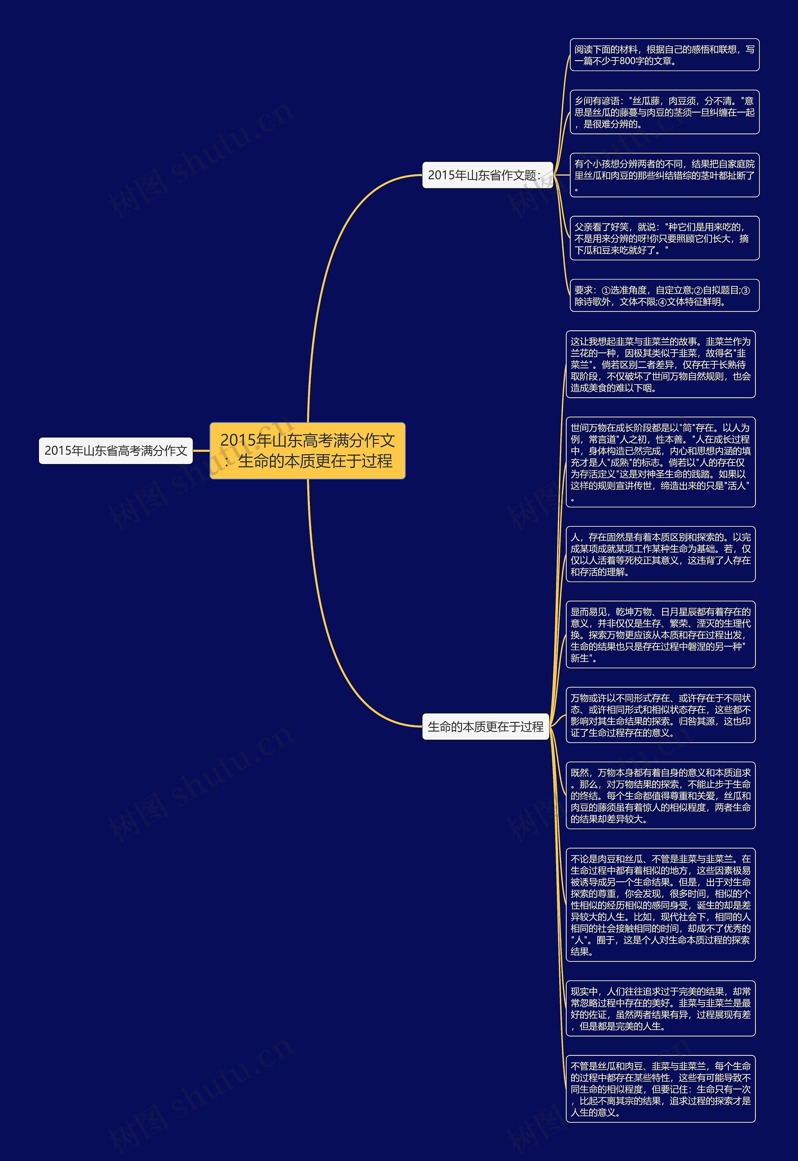 2015年山东高考满分作文：生命的本质更在于过程思维导图