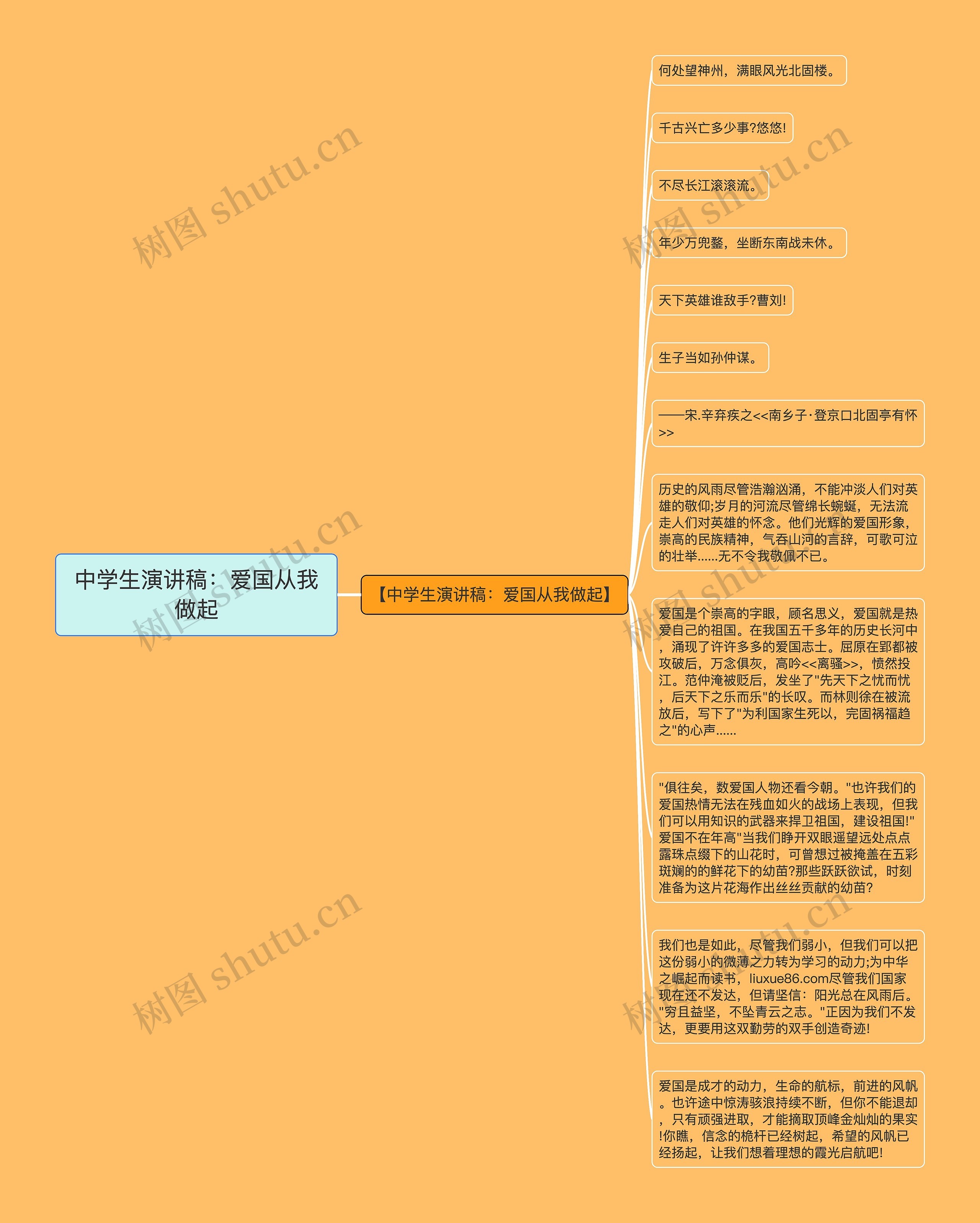 中学生演讲稿：爱国从我做起思维导图