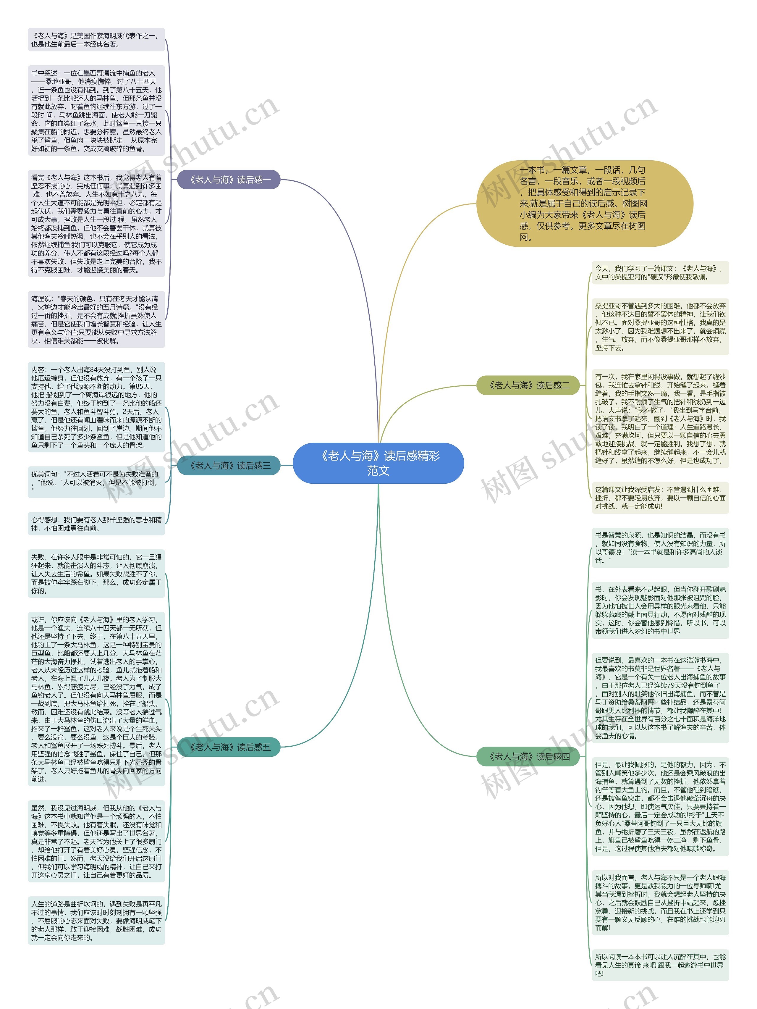 《老人与海》读后感精彩范文思维导图