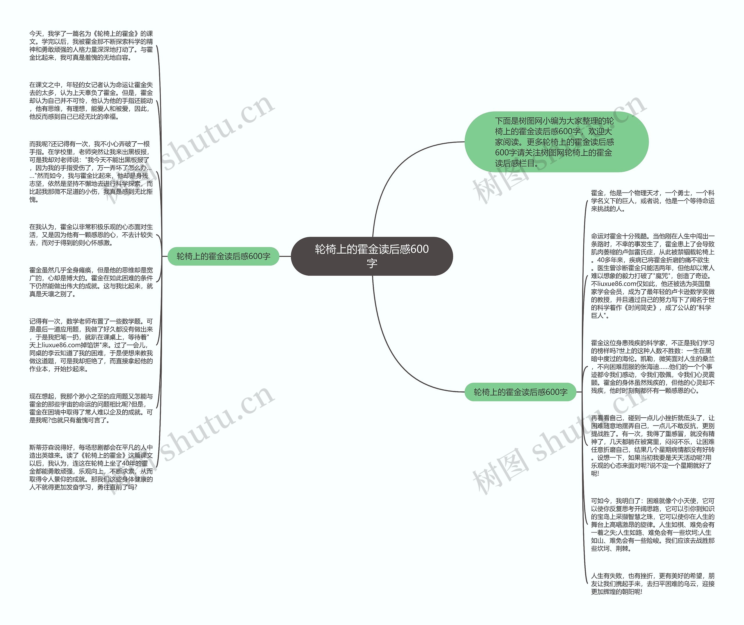 轮椅上的霍金读后感600字思维导图