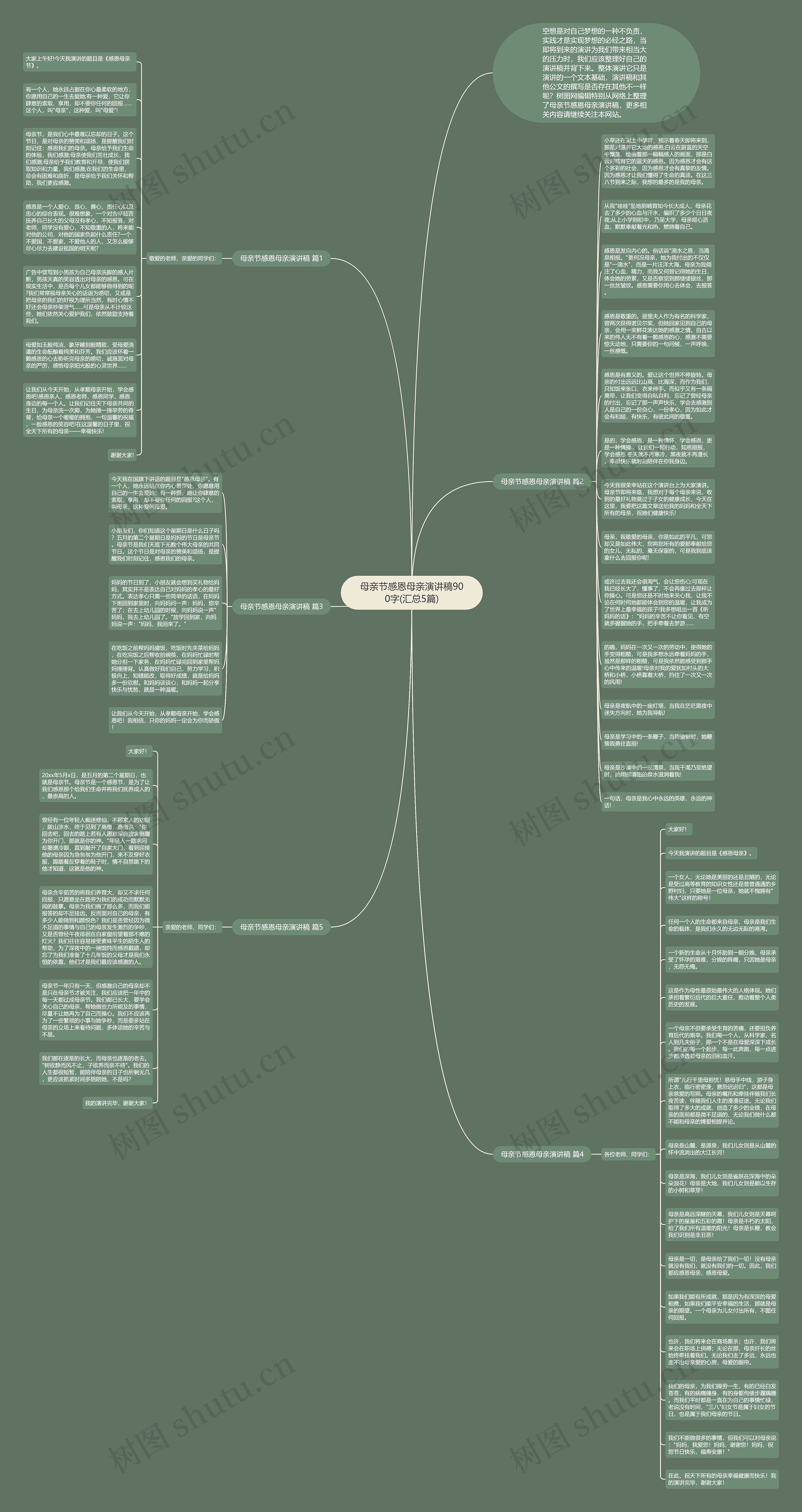 母亲节感恩母亲演讲稿900字(汇总5篇)思维导图