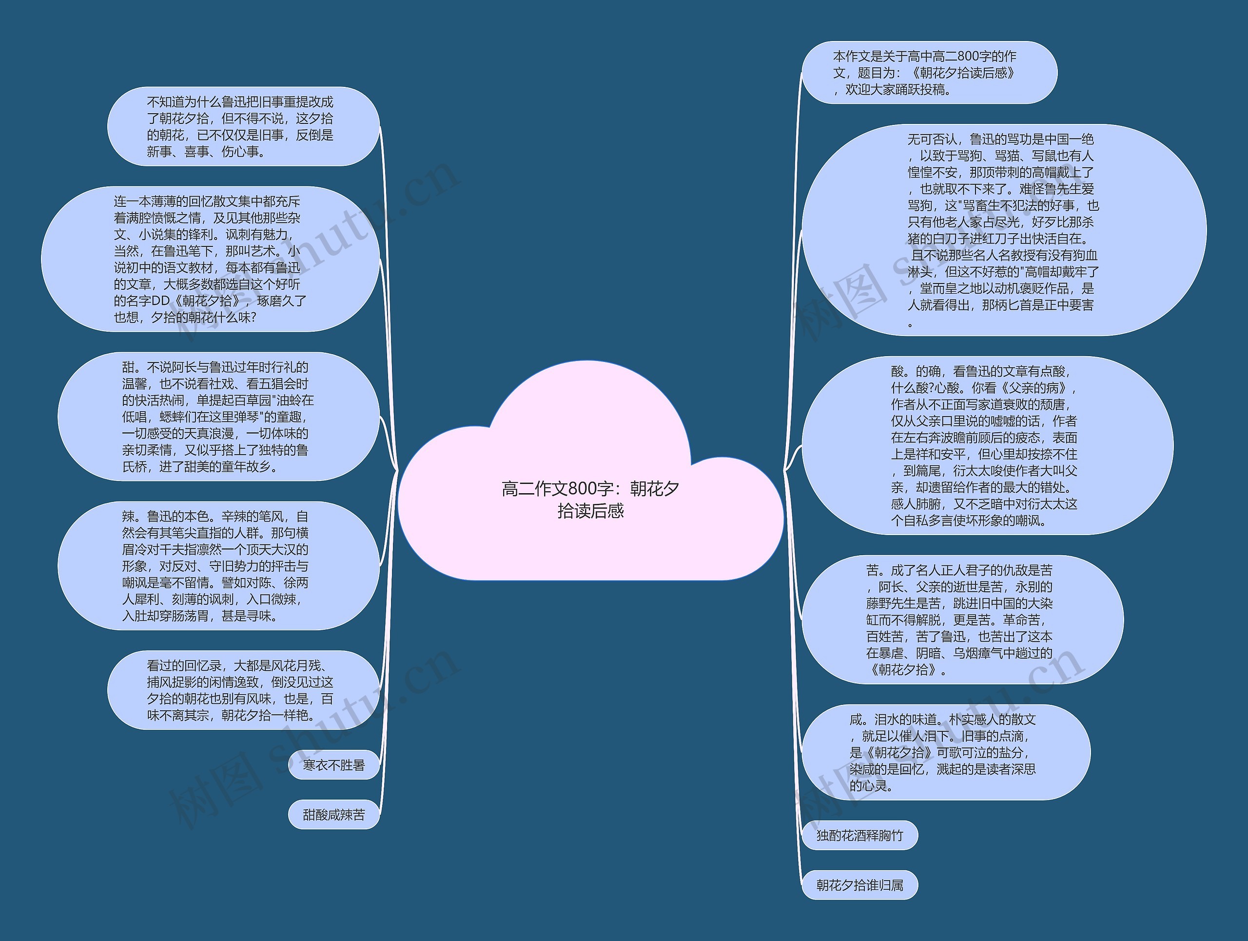 高二作文800字：朝花夕拾读后感思维导图