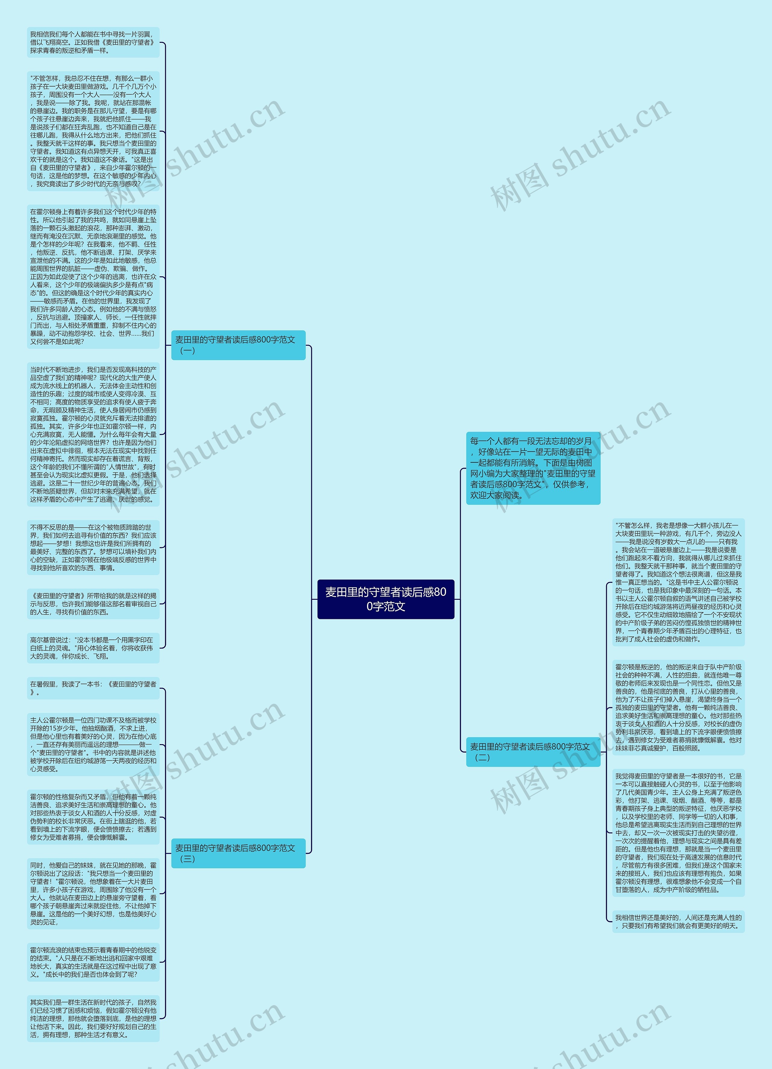 麦田里的守望者读后感800字范文思维导图