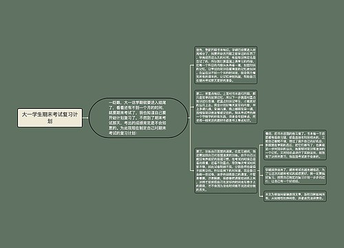 大一学生期末考试复习计划