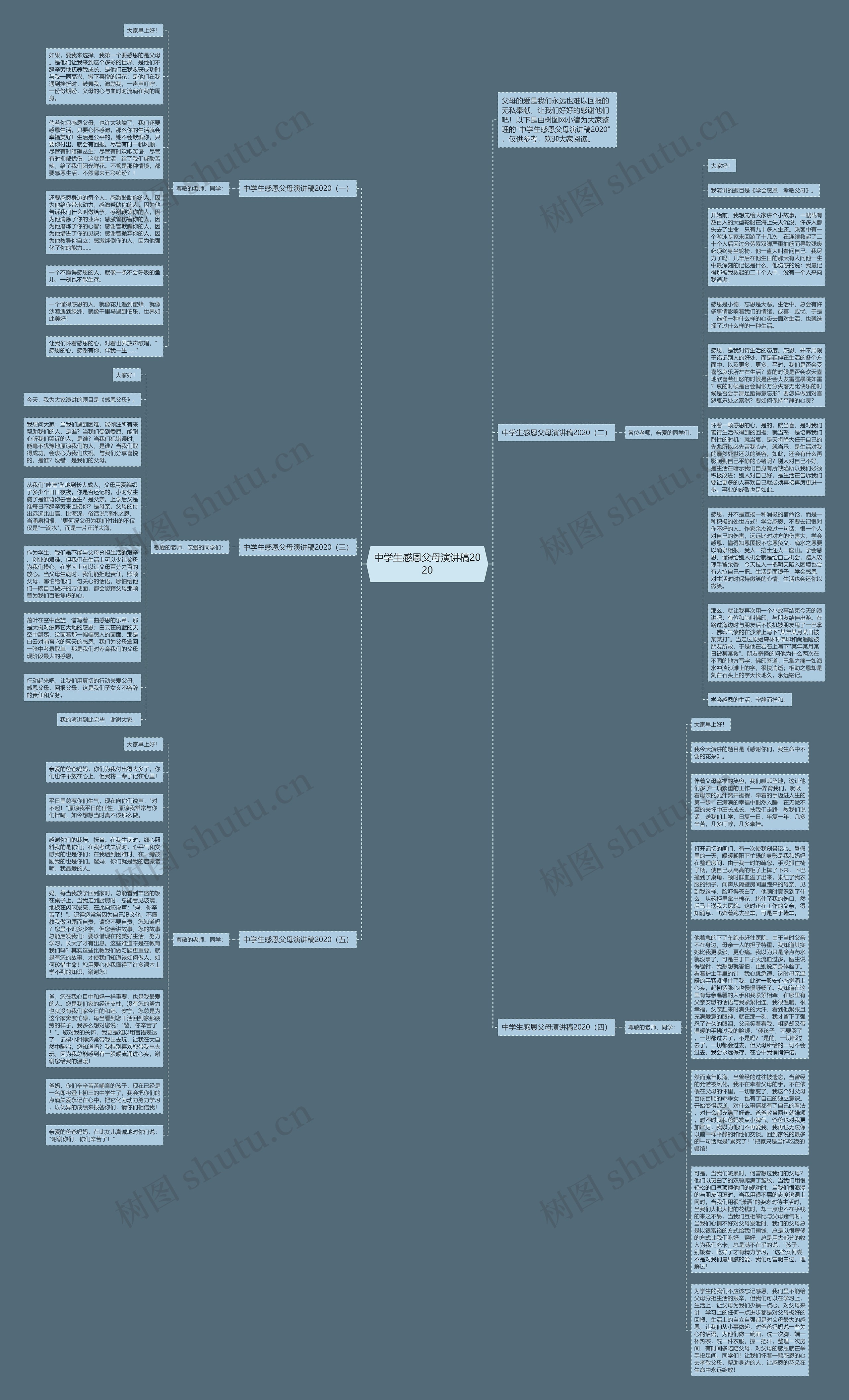 中学生感恩父母演讲稿2020思维导图