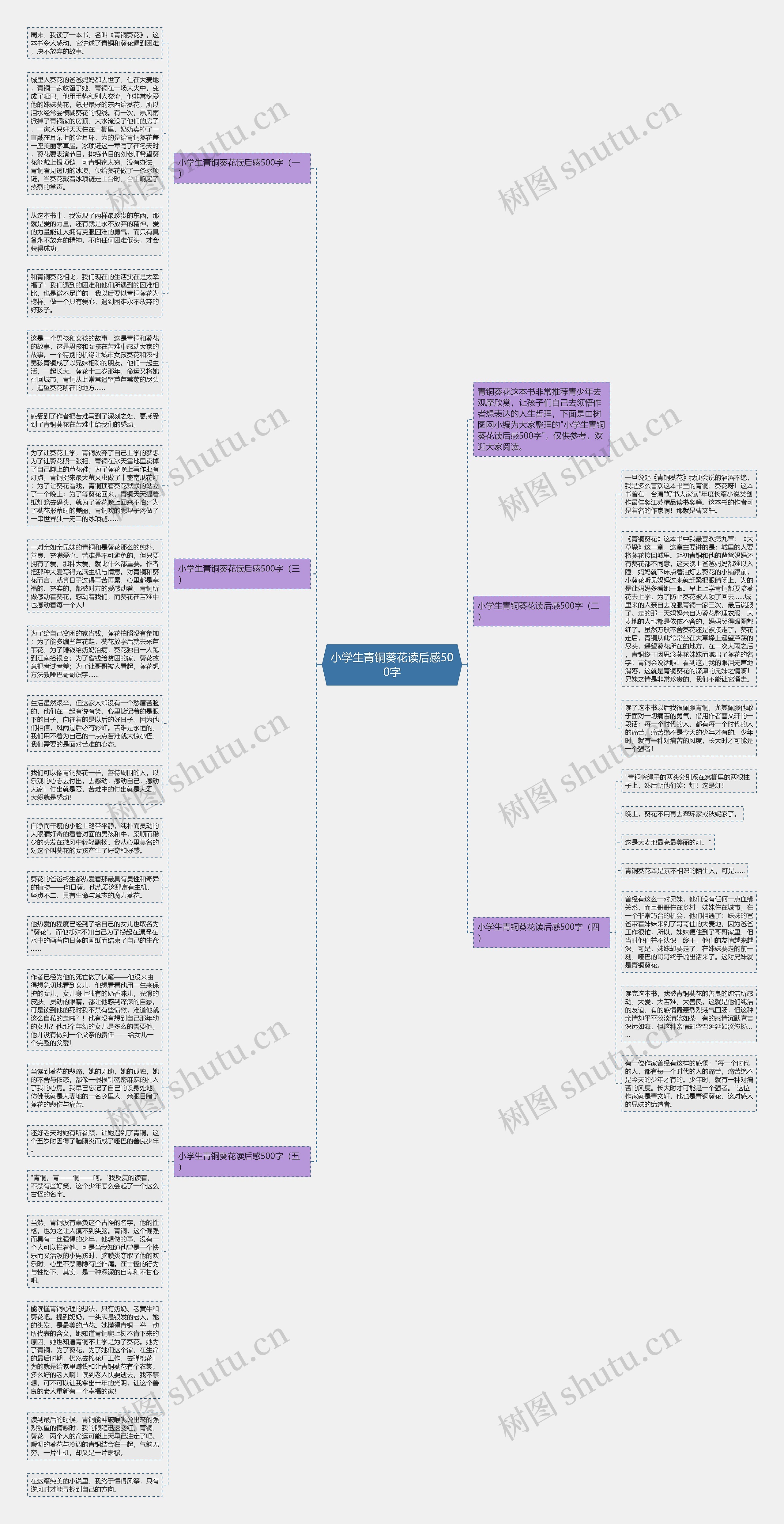 小学生青铜葵花读后感500字思维导图