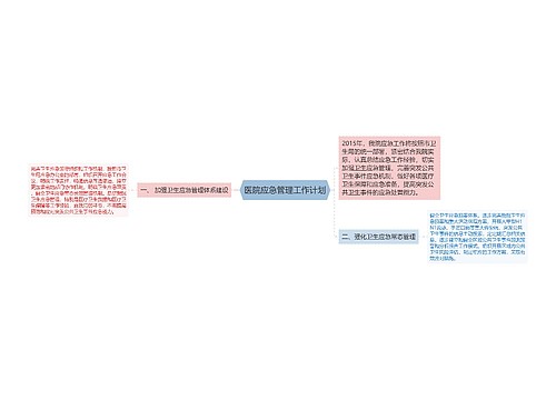 医院应急管理工作计划