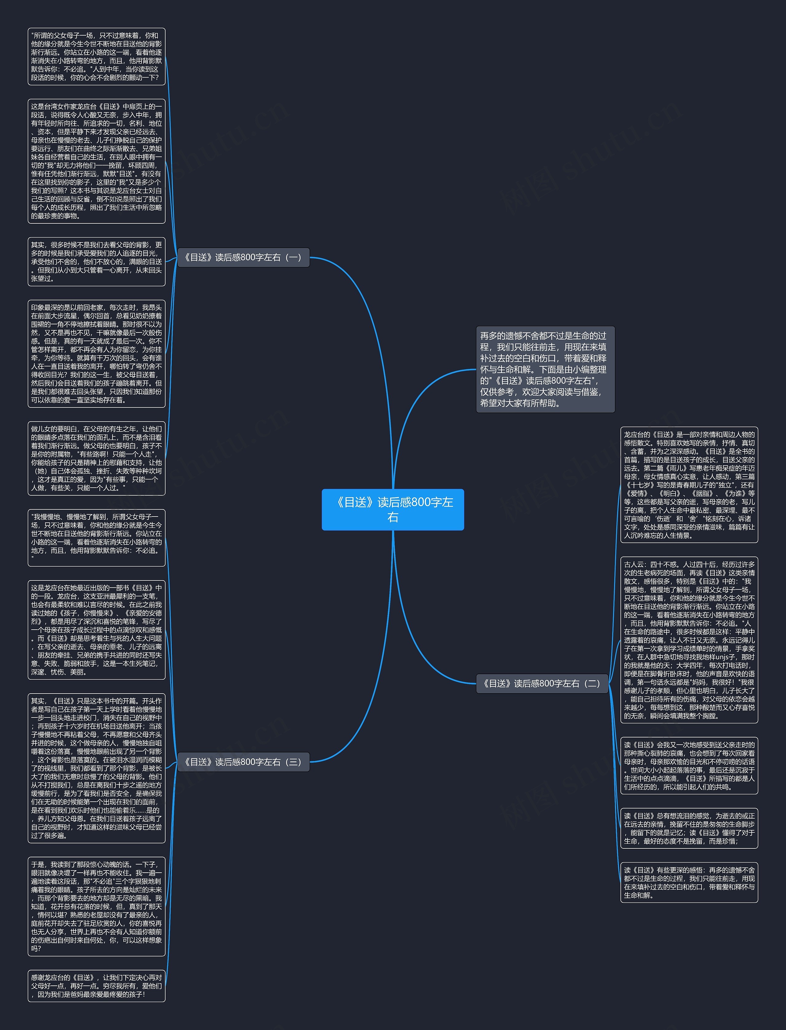 《目送》读后感800字左右思维导图