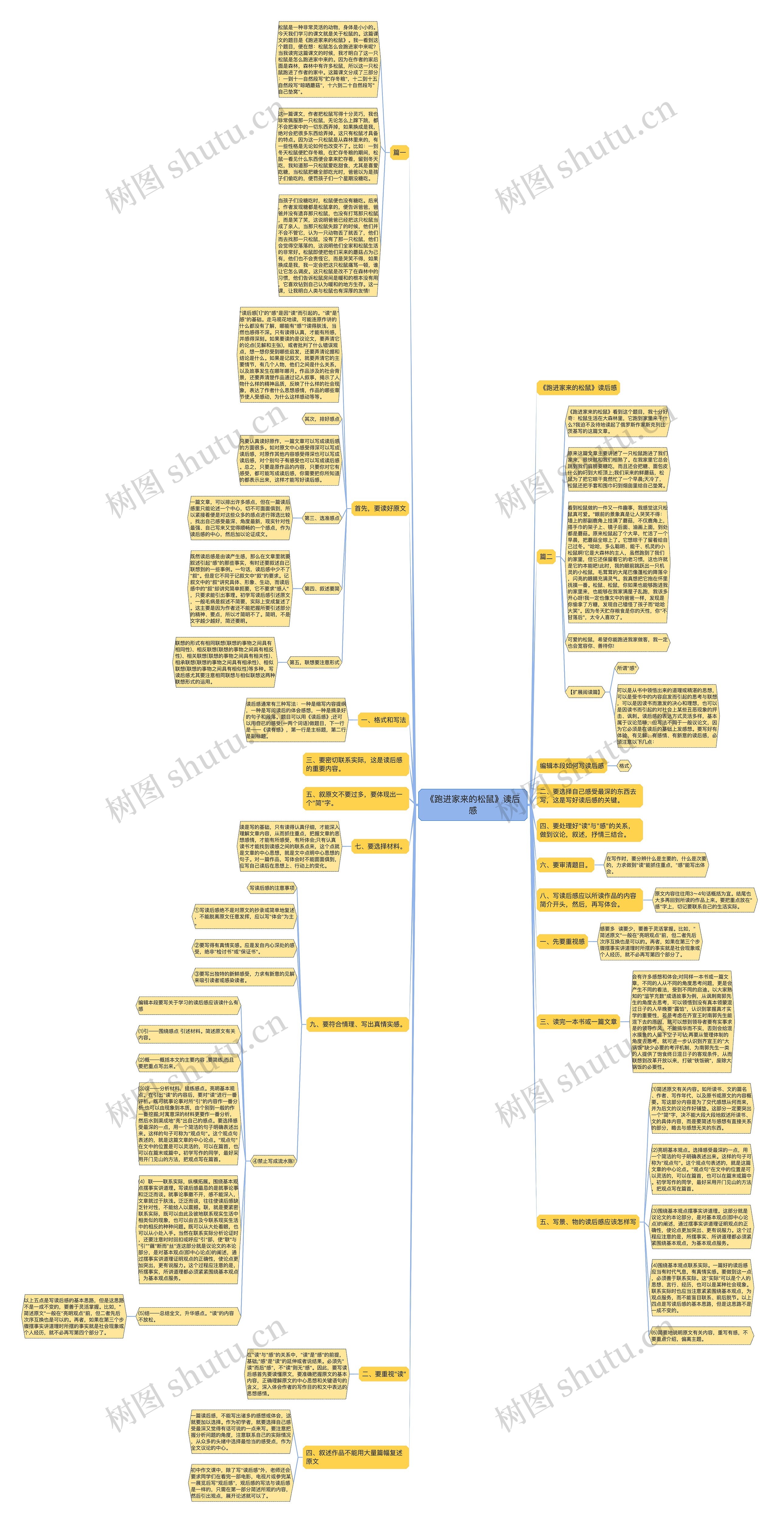 《跑进家来的松鼠》读后感思维导图