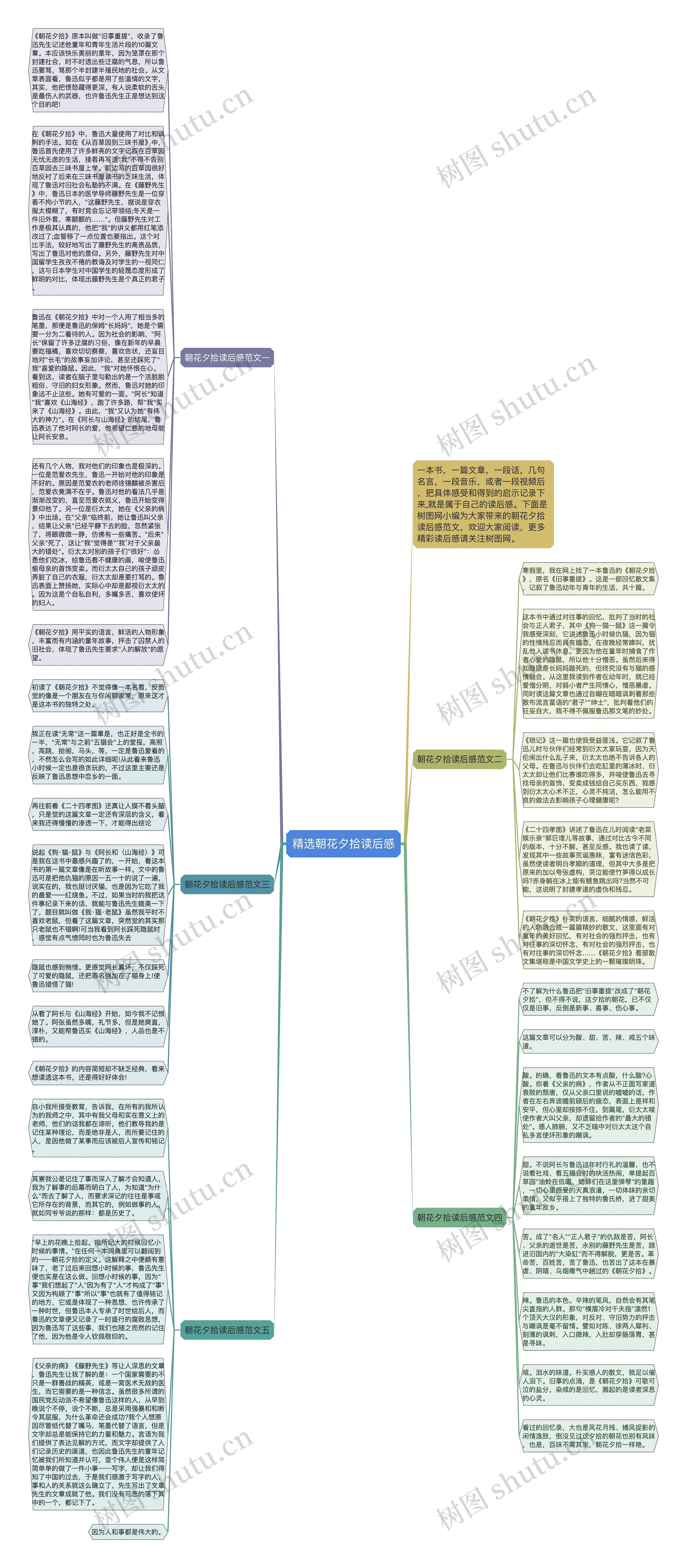 精选朝花夕拾读后感思维导图