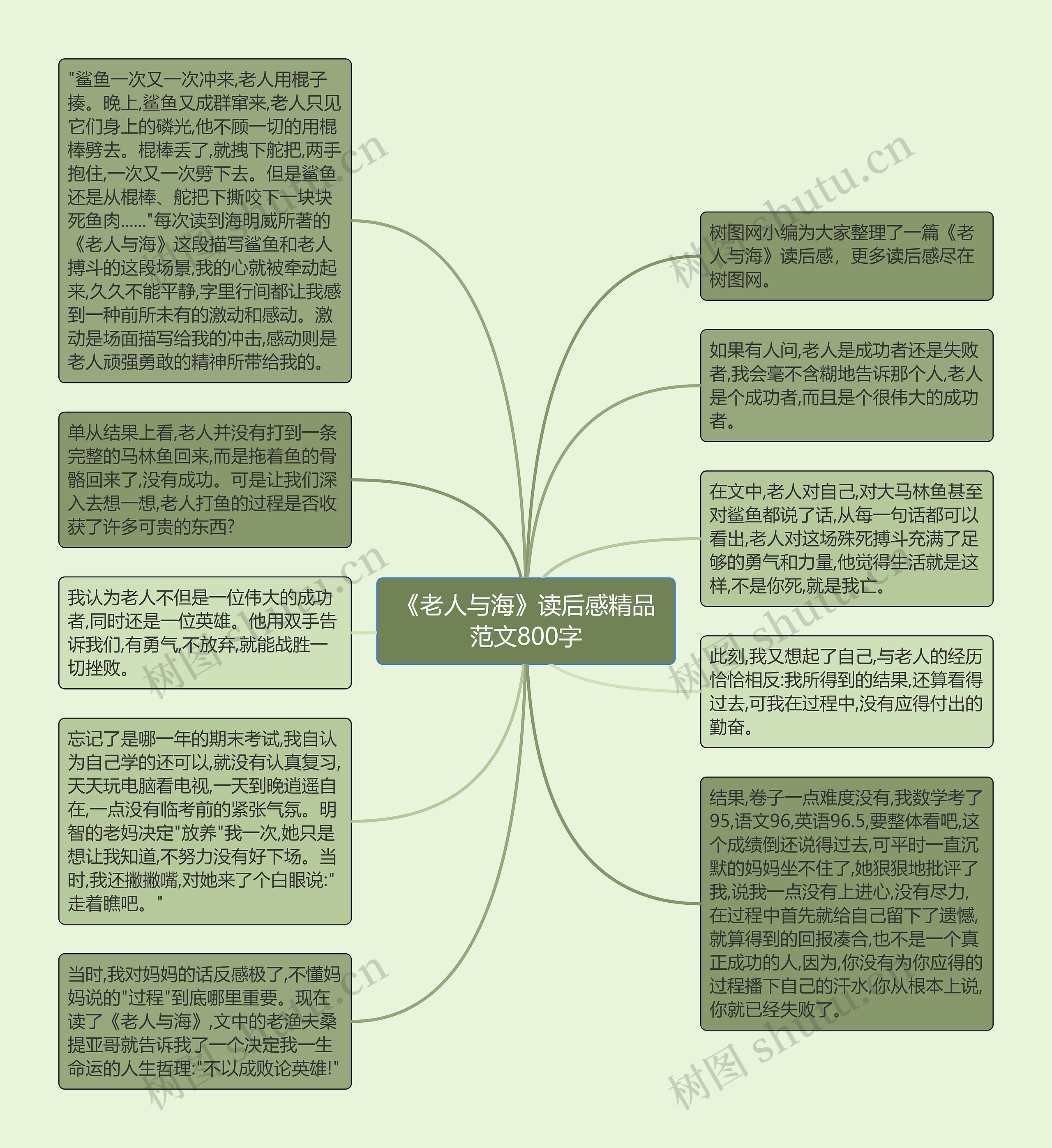 《老人与海》读后感精品范文800字思维导图