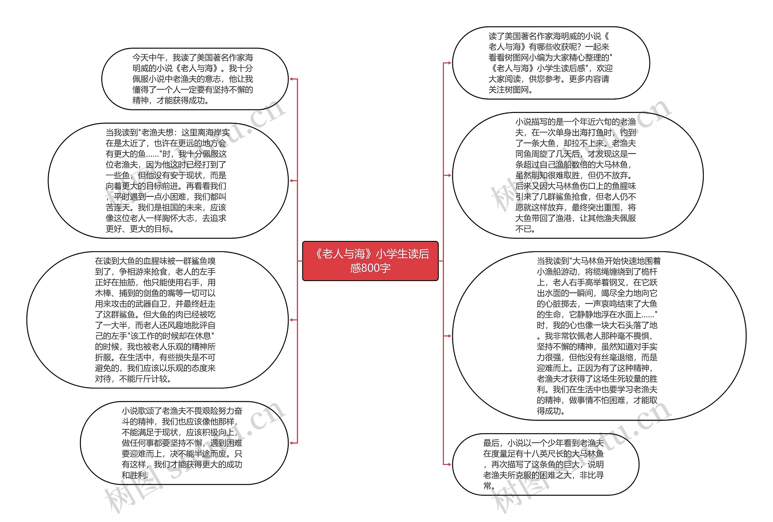 《老人与海》小学生读后感800字思维导图