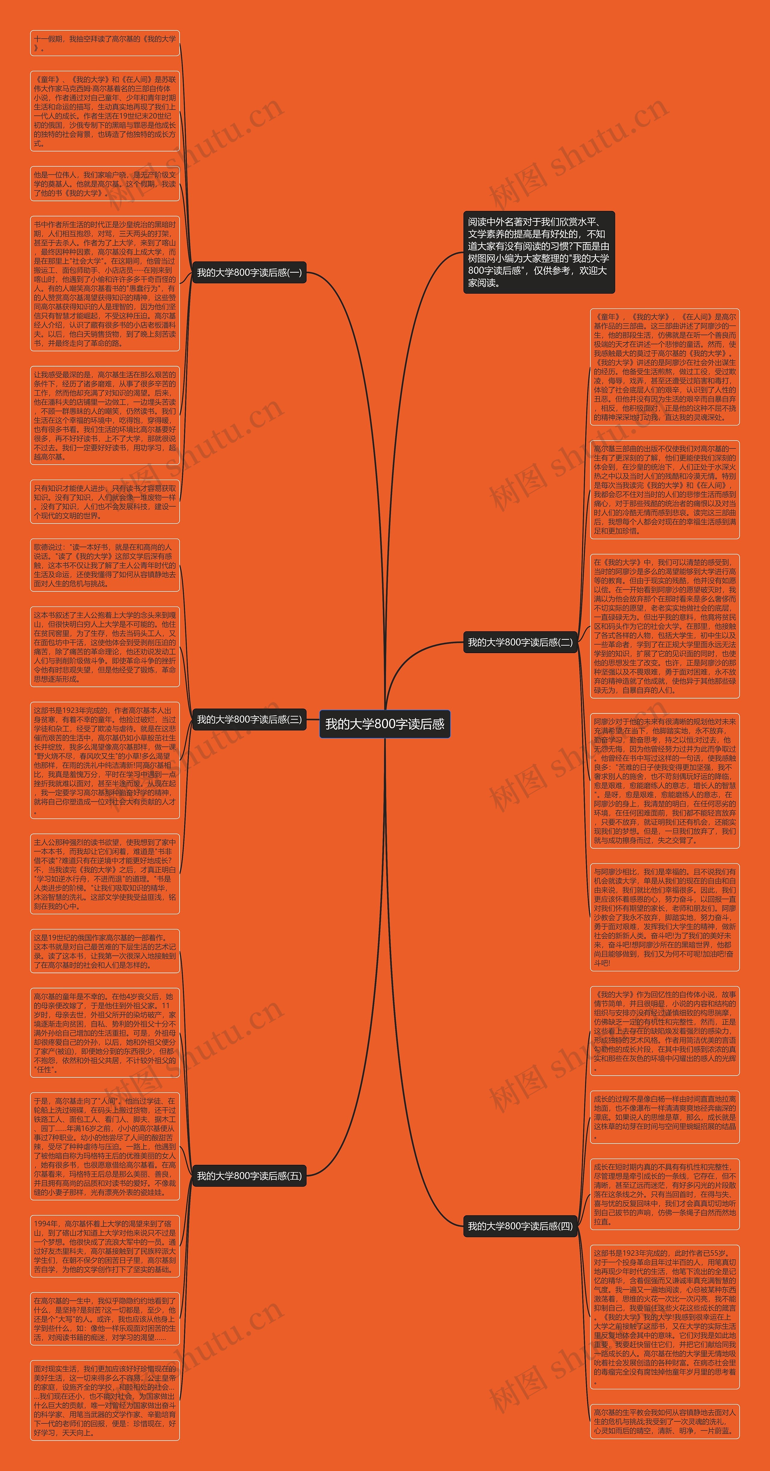 我的大学800字读后感思维导图